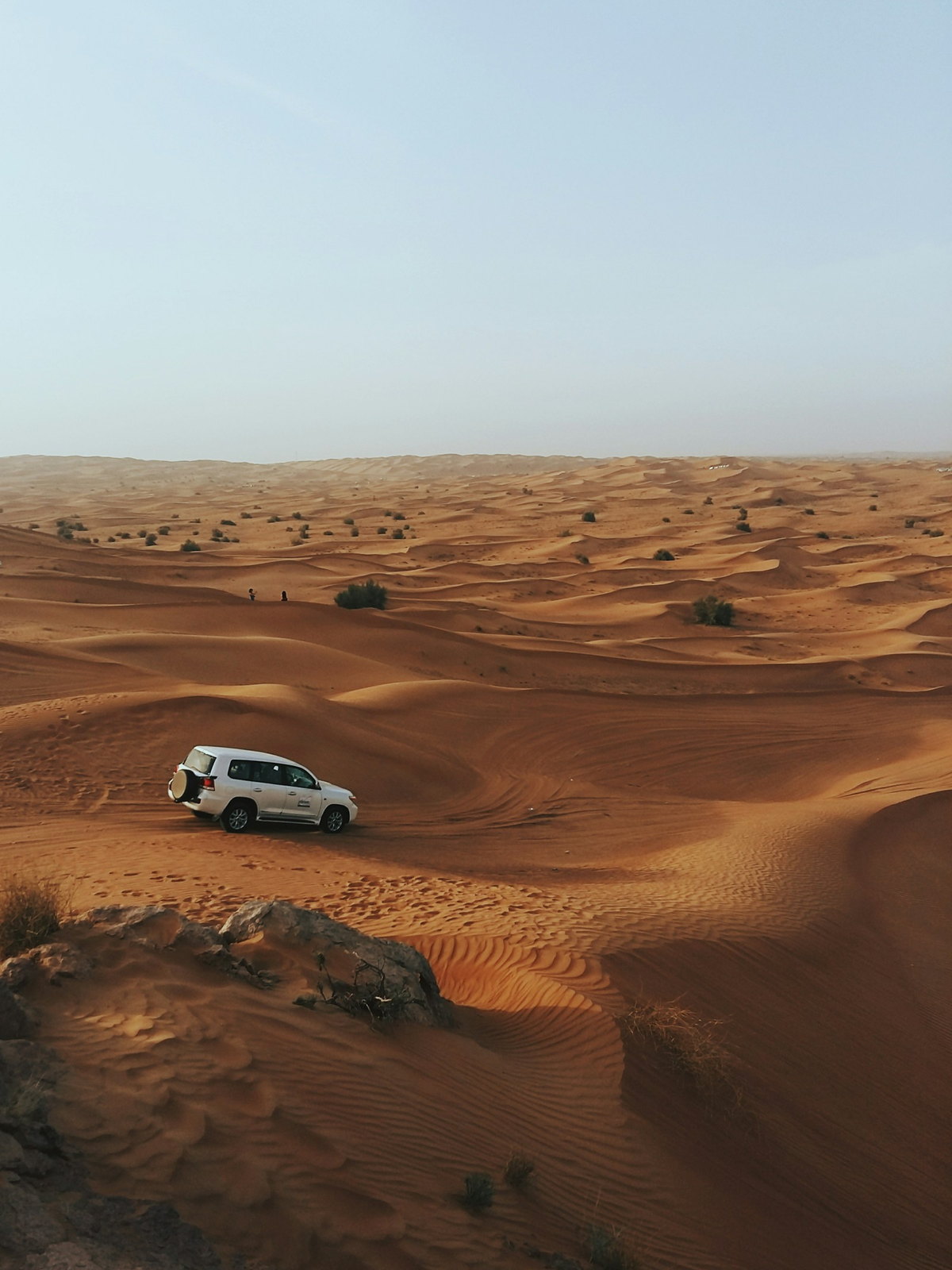 United Arab Emirates eSIM - Photo 4