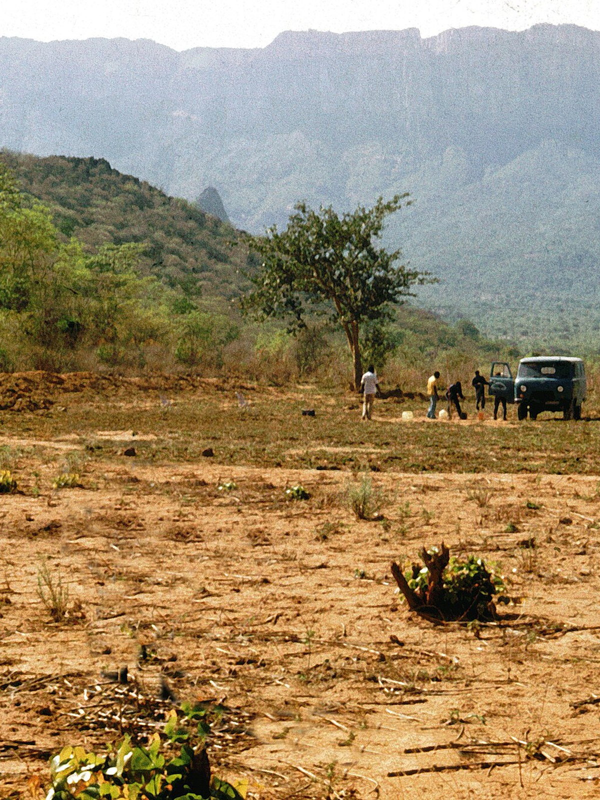 Angola eSIM - Photo 4