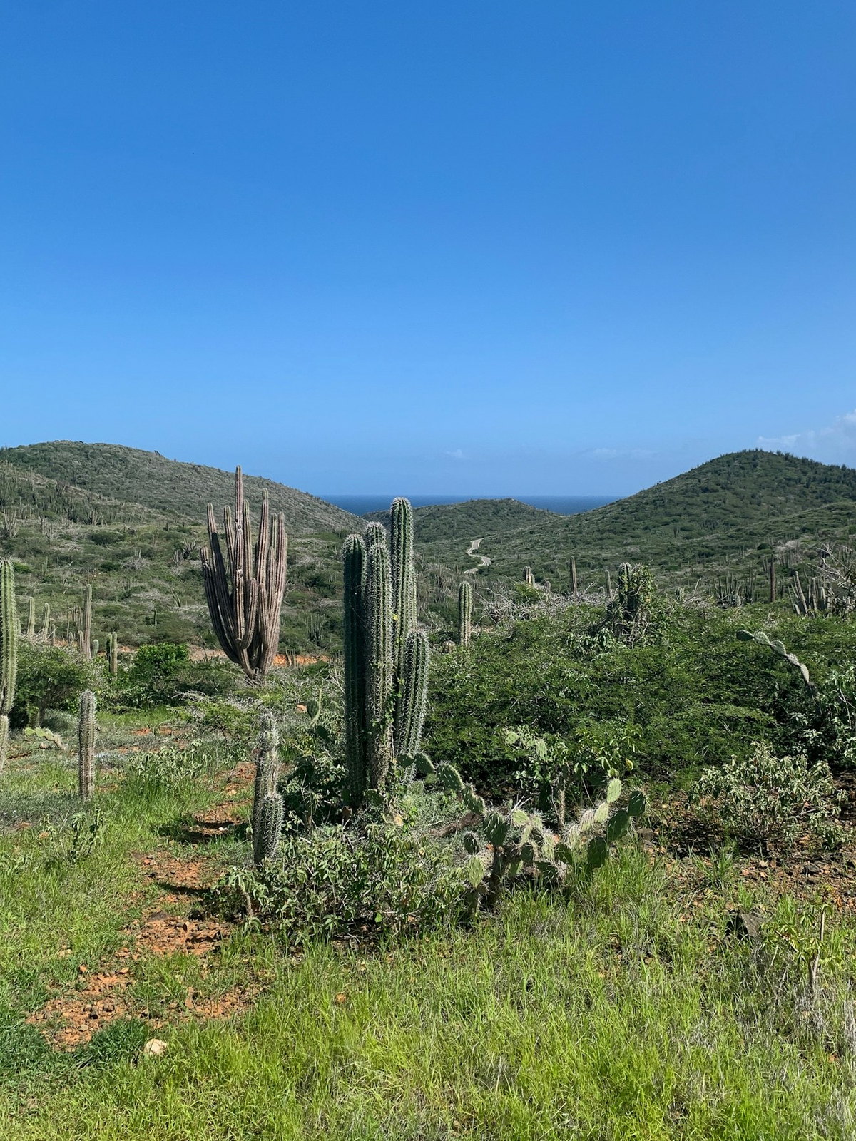 Aruba eSIM - Photo 5