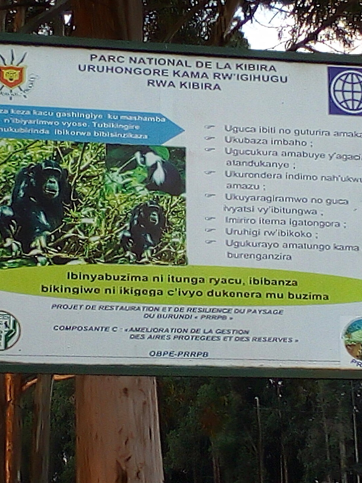 Burundi eSIM - Photo 2