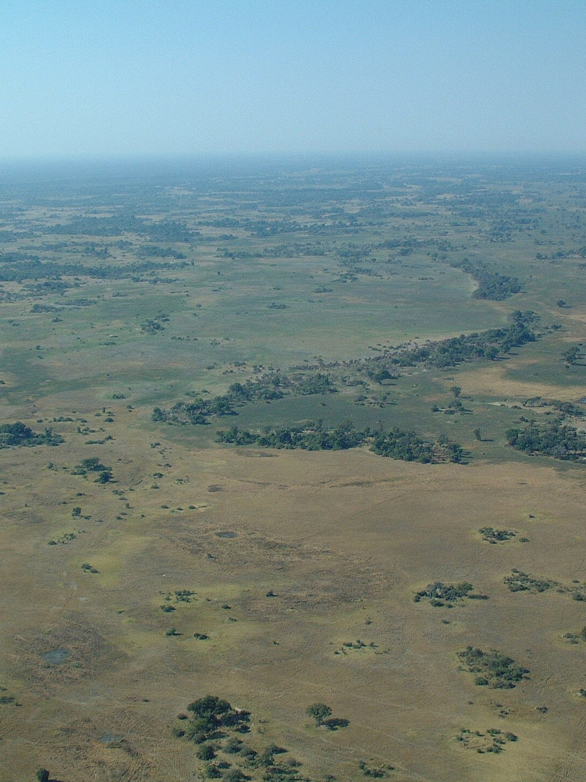 Botswana eSIM - Photo 1