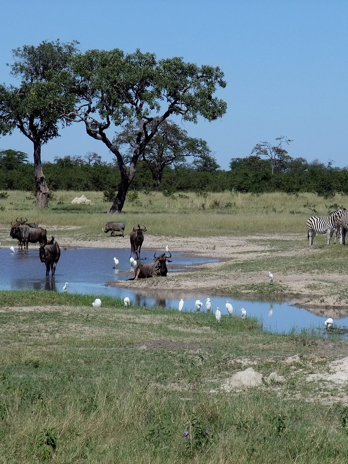 Botswana eSIM - Photo 2
