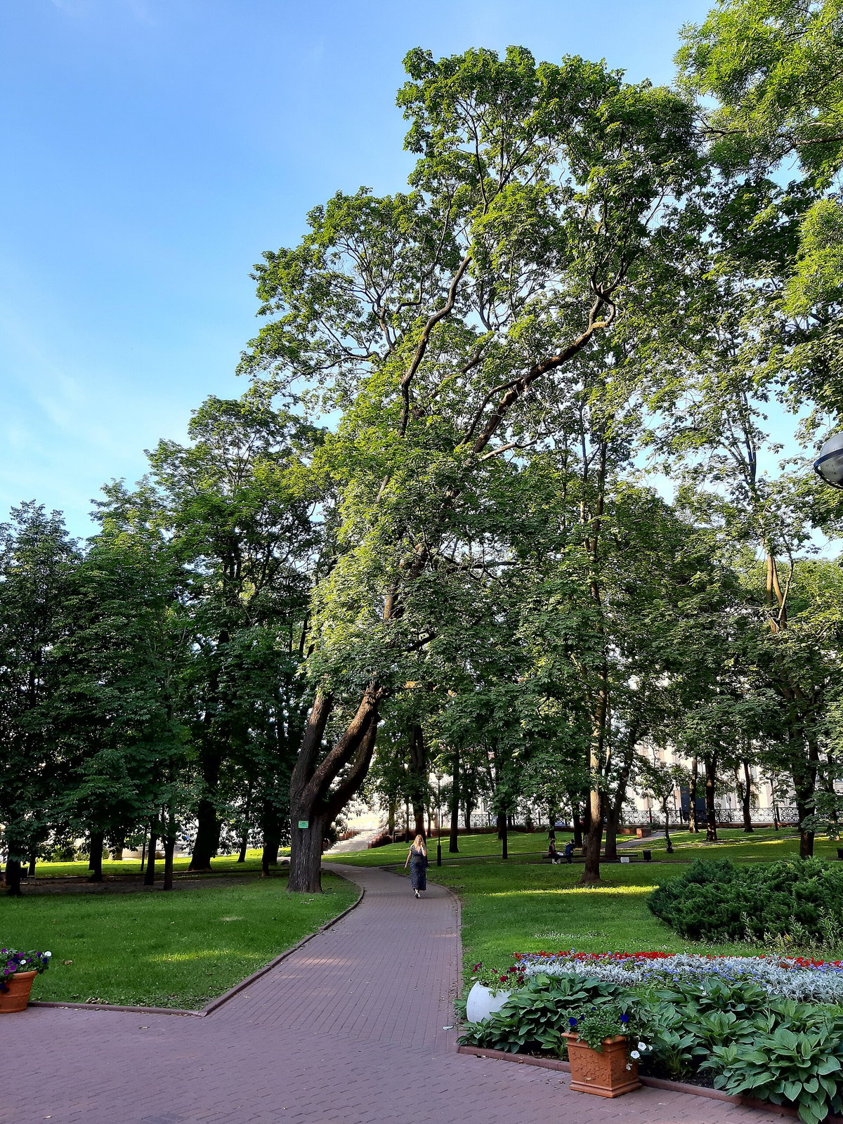 Belarus eSIM - Photo 4