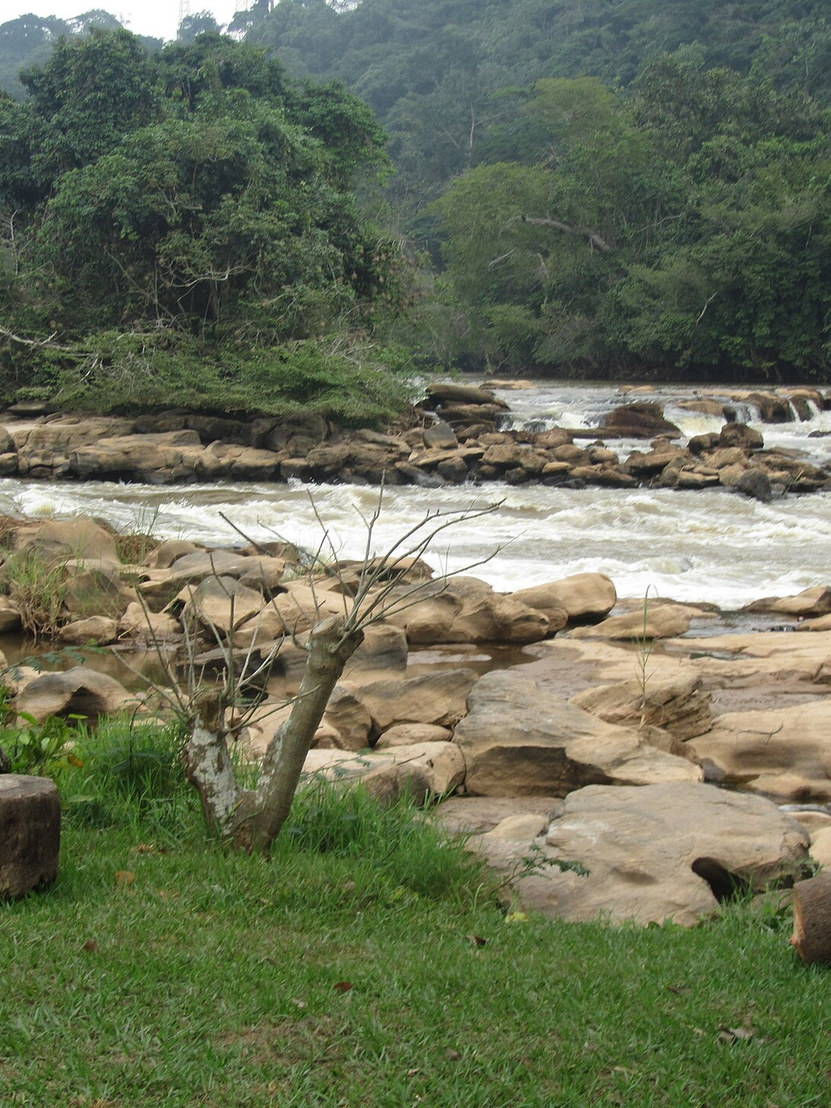 DR Congo eSIM - Photo 4
