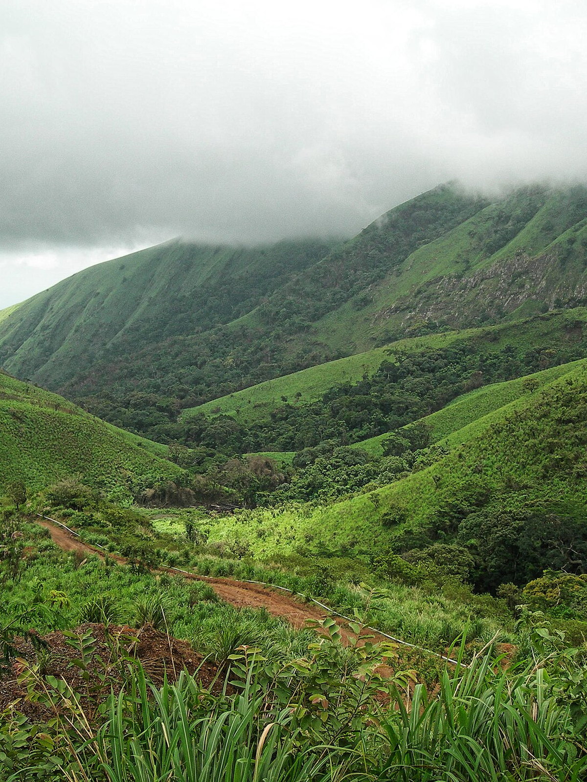 Cote d'Ivoire eSIM - Photo 3