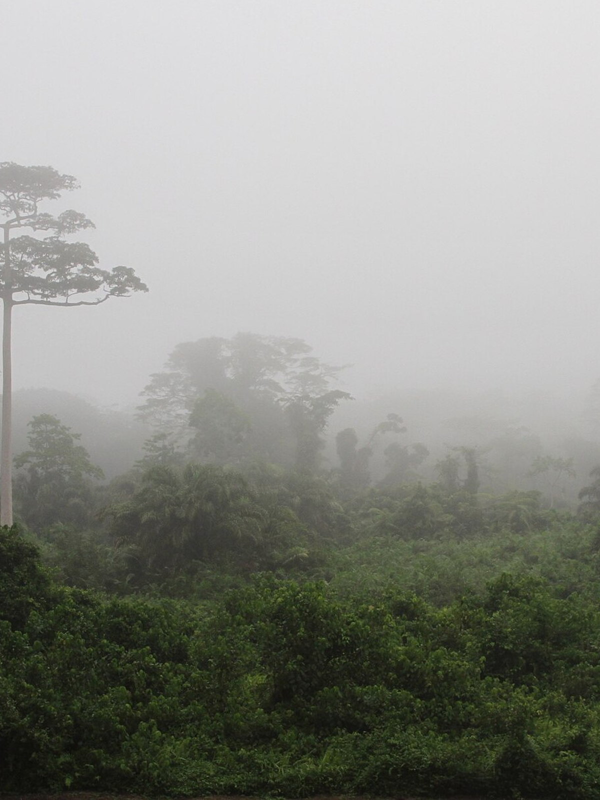 Cote d'Ivoire eSIM - Photo 5
