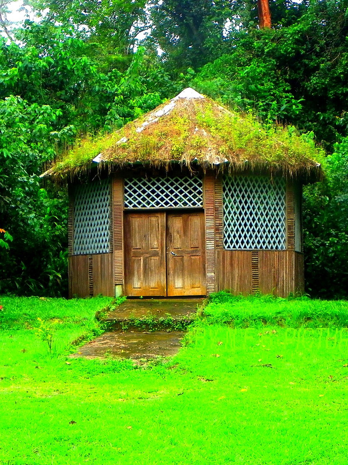 Cameroon eSIM - Photo 4