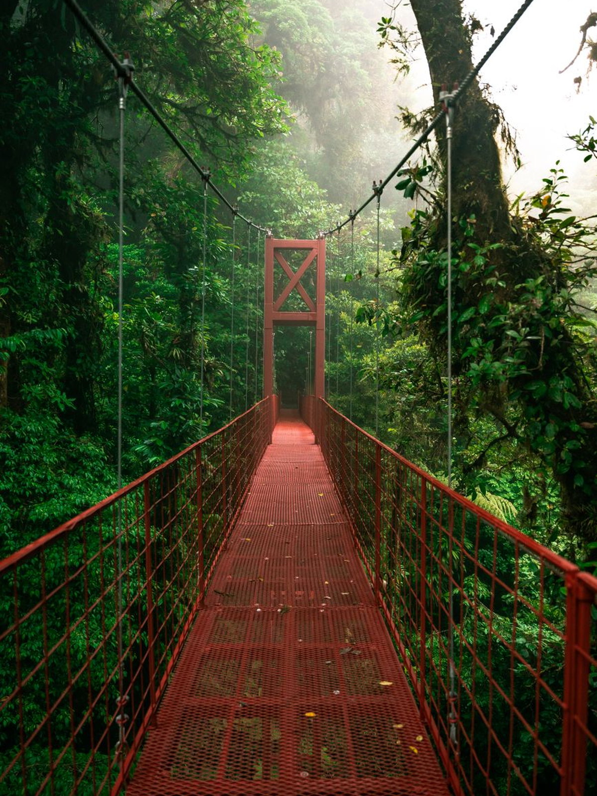 Costa Rica eSIM - Photo 2