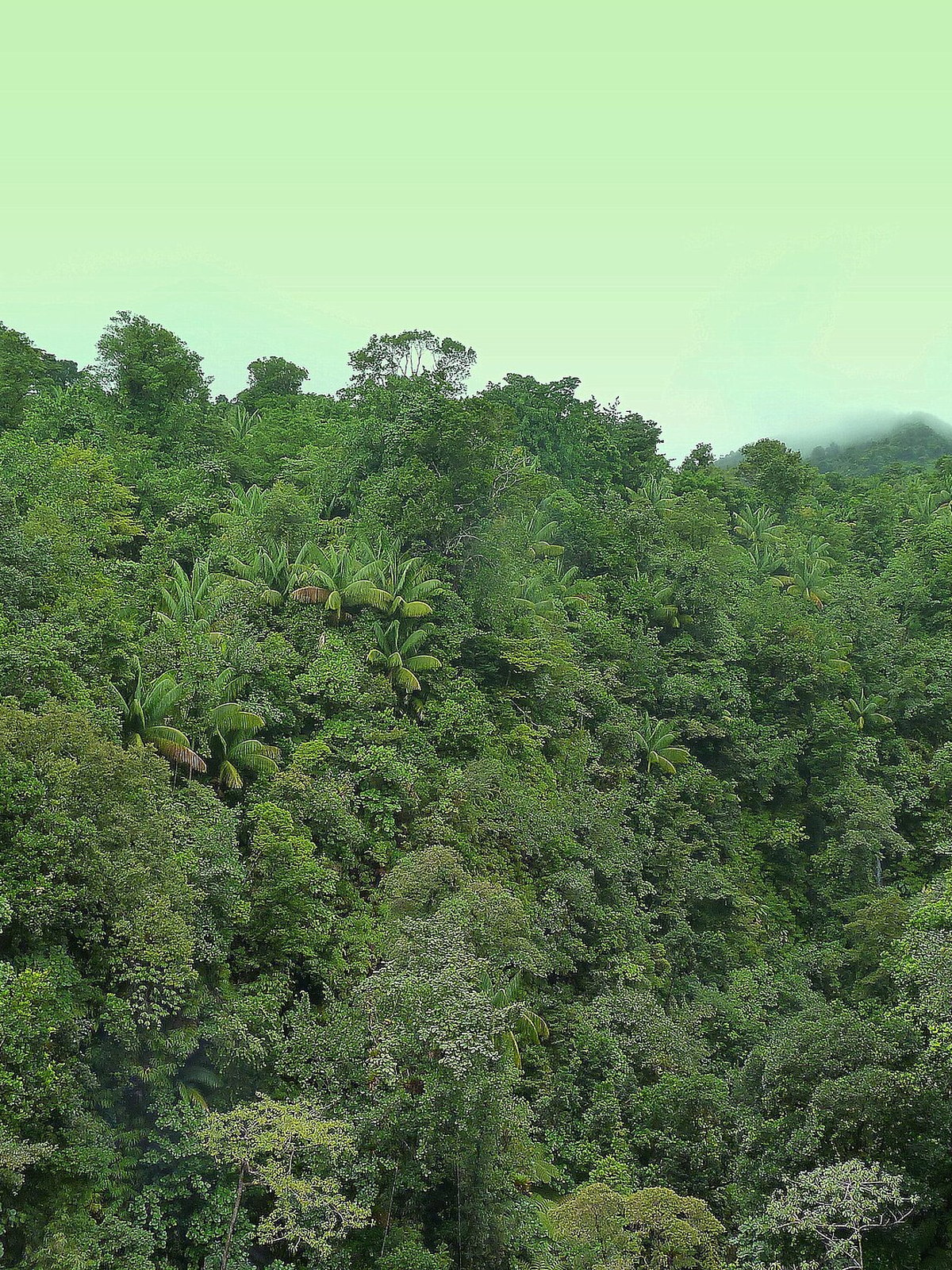 Dominica eSIM - Photo 5