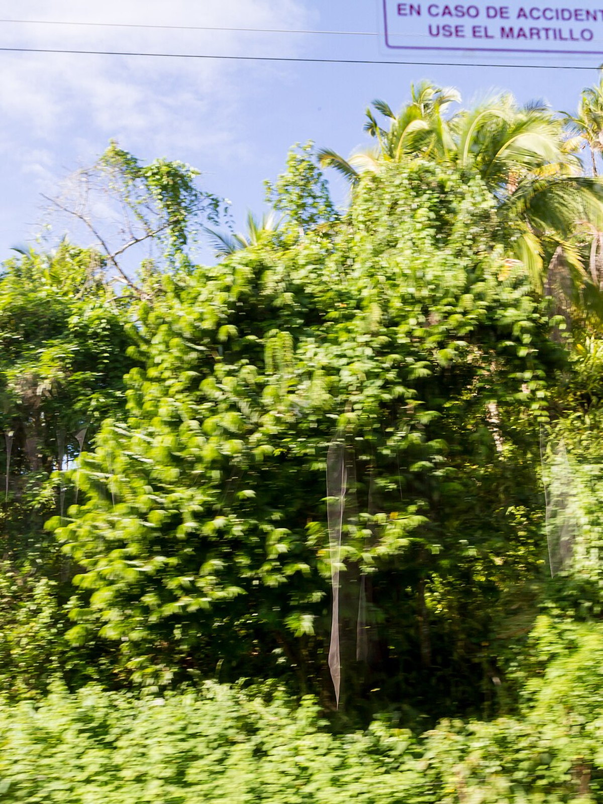 Dominican Republic eSIM - Photo 3