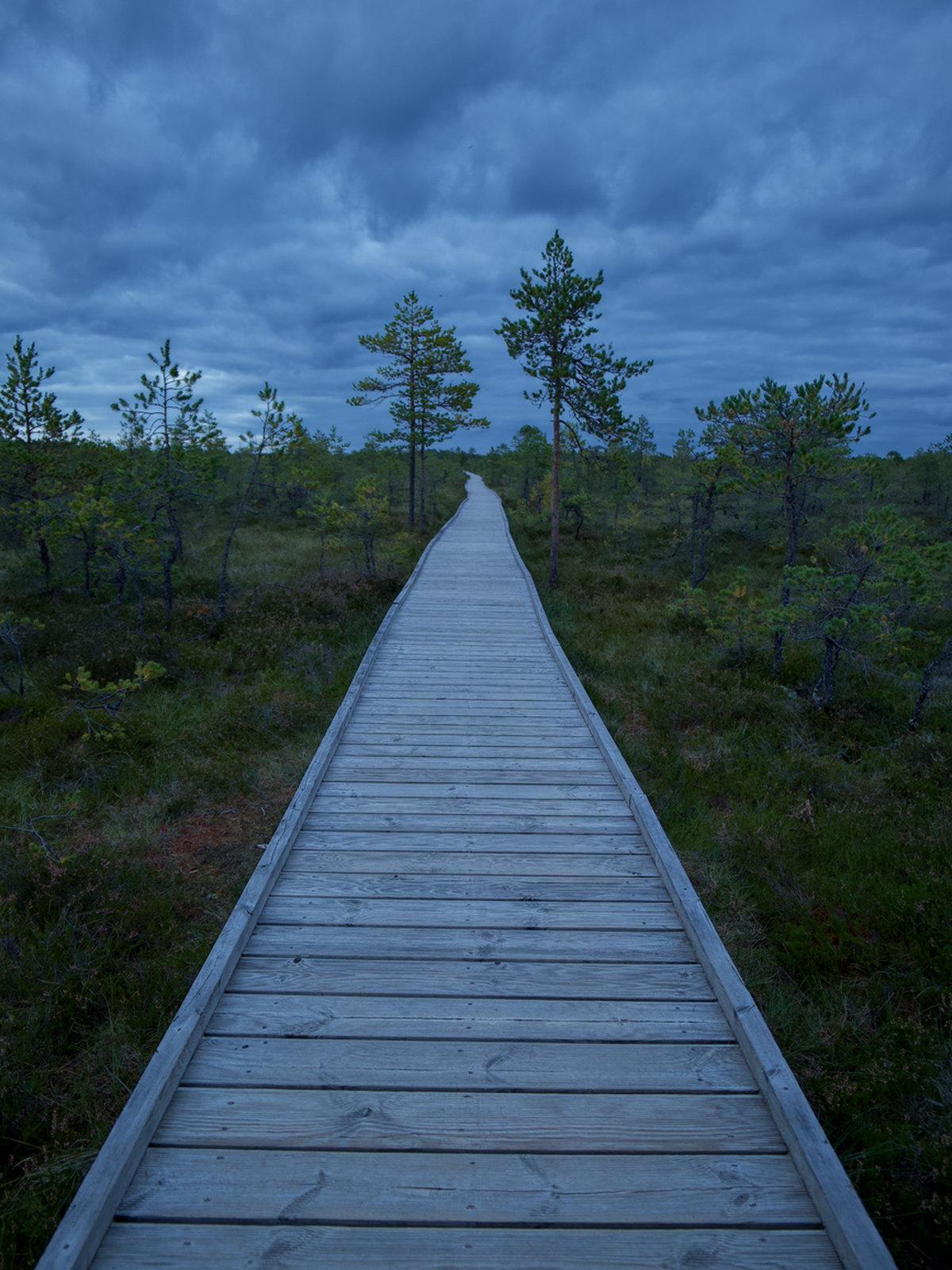 Estonia eSIM - Photo 3