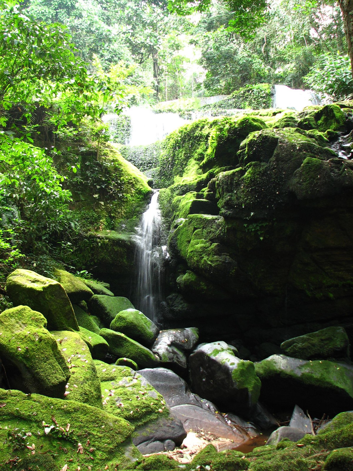 Gabon eSIM - Photo 3