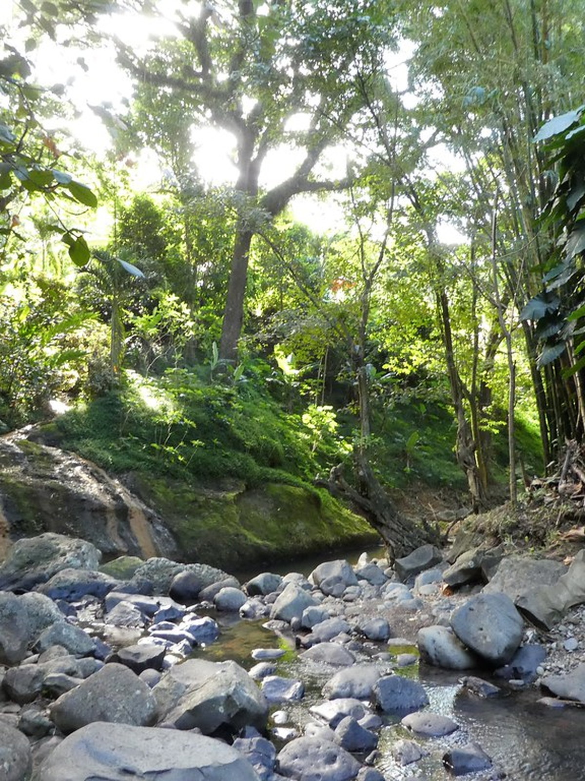Grenada eSIM - Photo 3