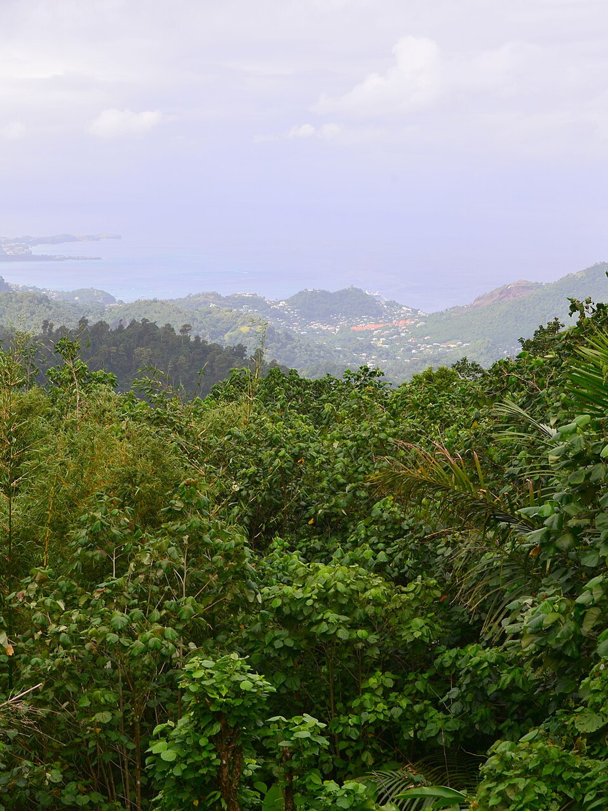 Grenada eSIM - Photo 4