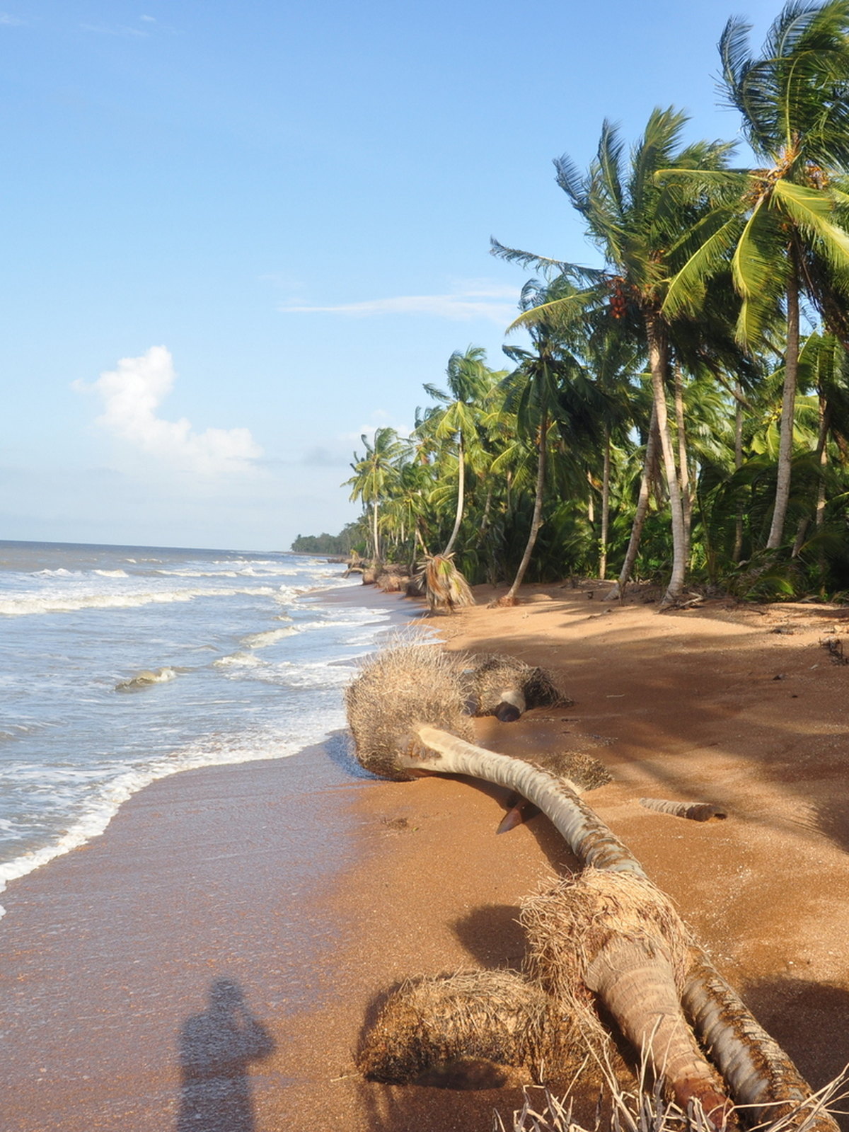 Guyana eSIM - Photo 4