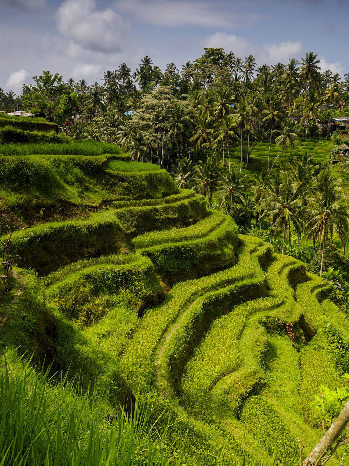 Indonesia eSIM - Photo 3
