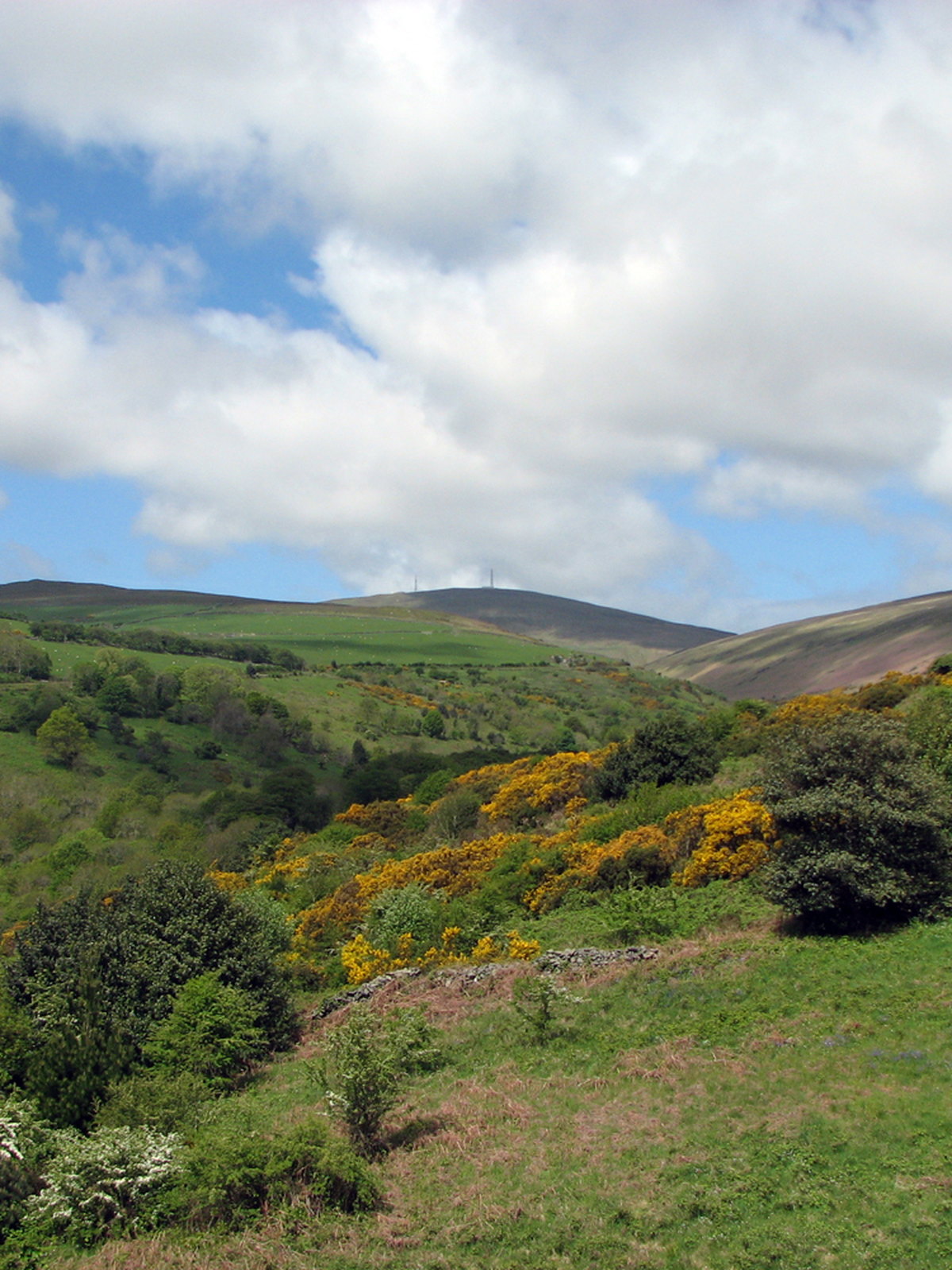 Isle of Man eSIM - Photo 3