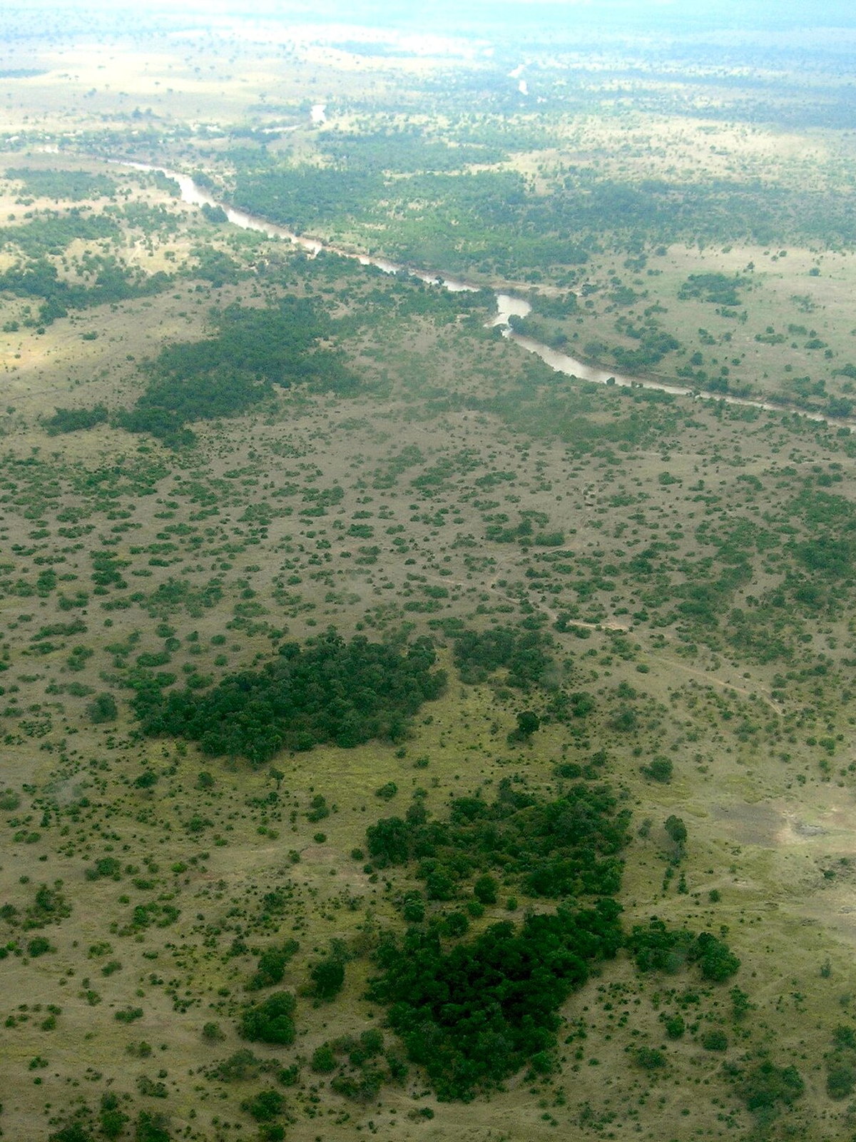 Kenya eSIM - Photo 1