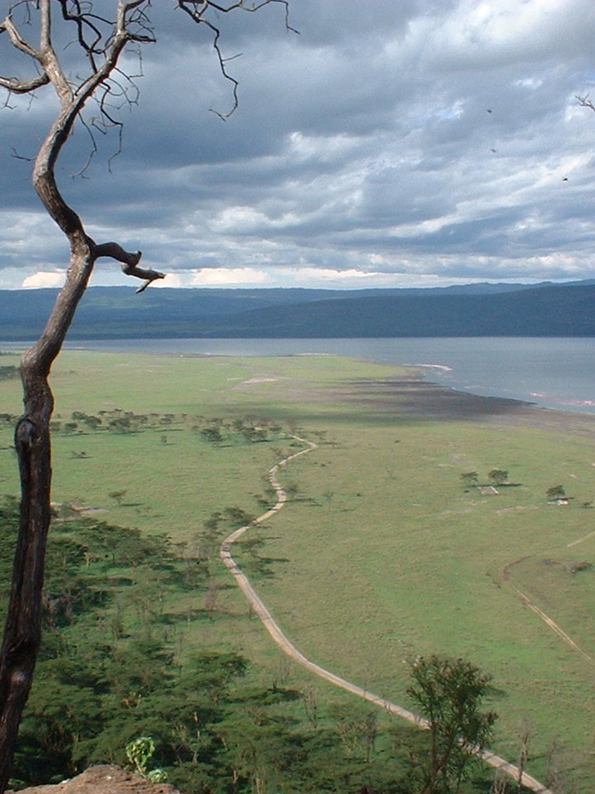 Kenya eSIM - Photo 4