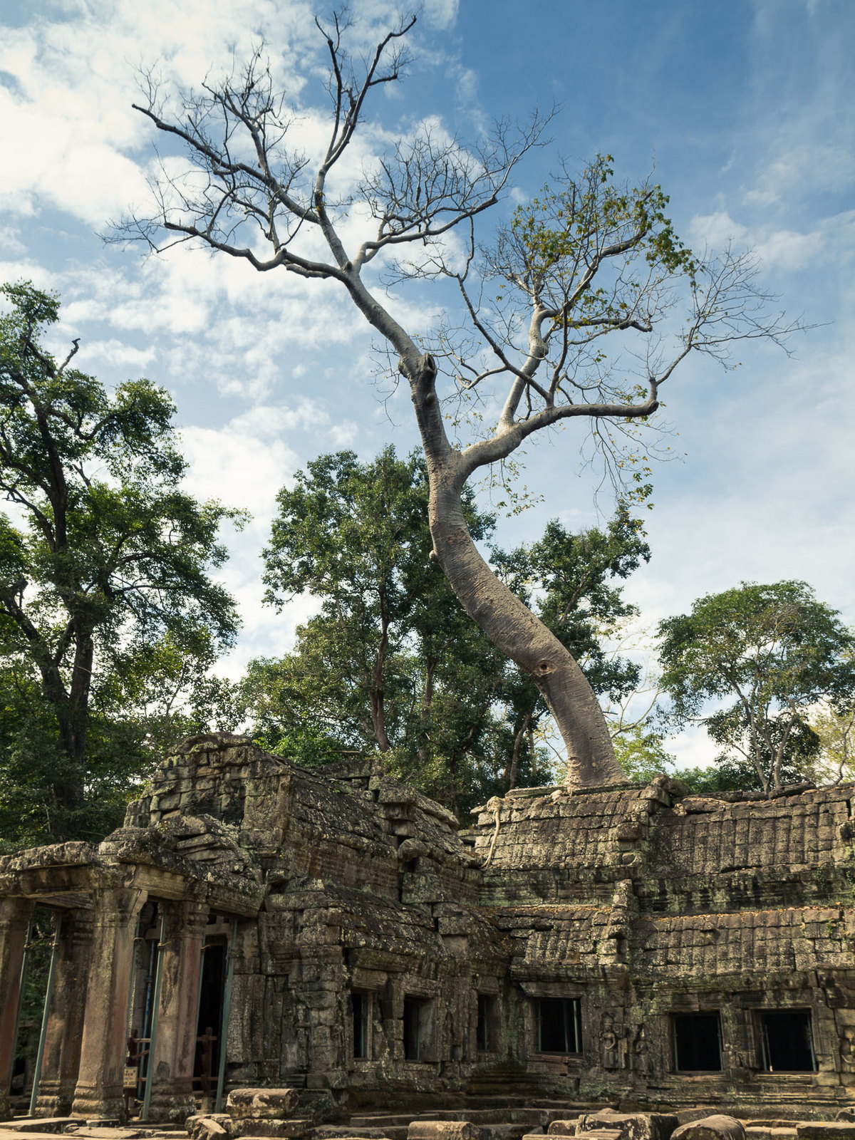 Siem Reap eSIM - Photo 3