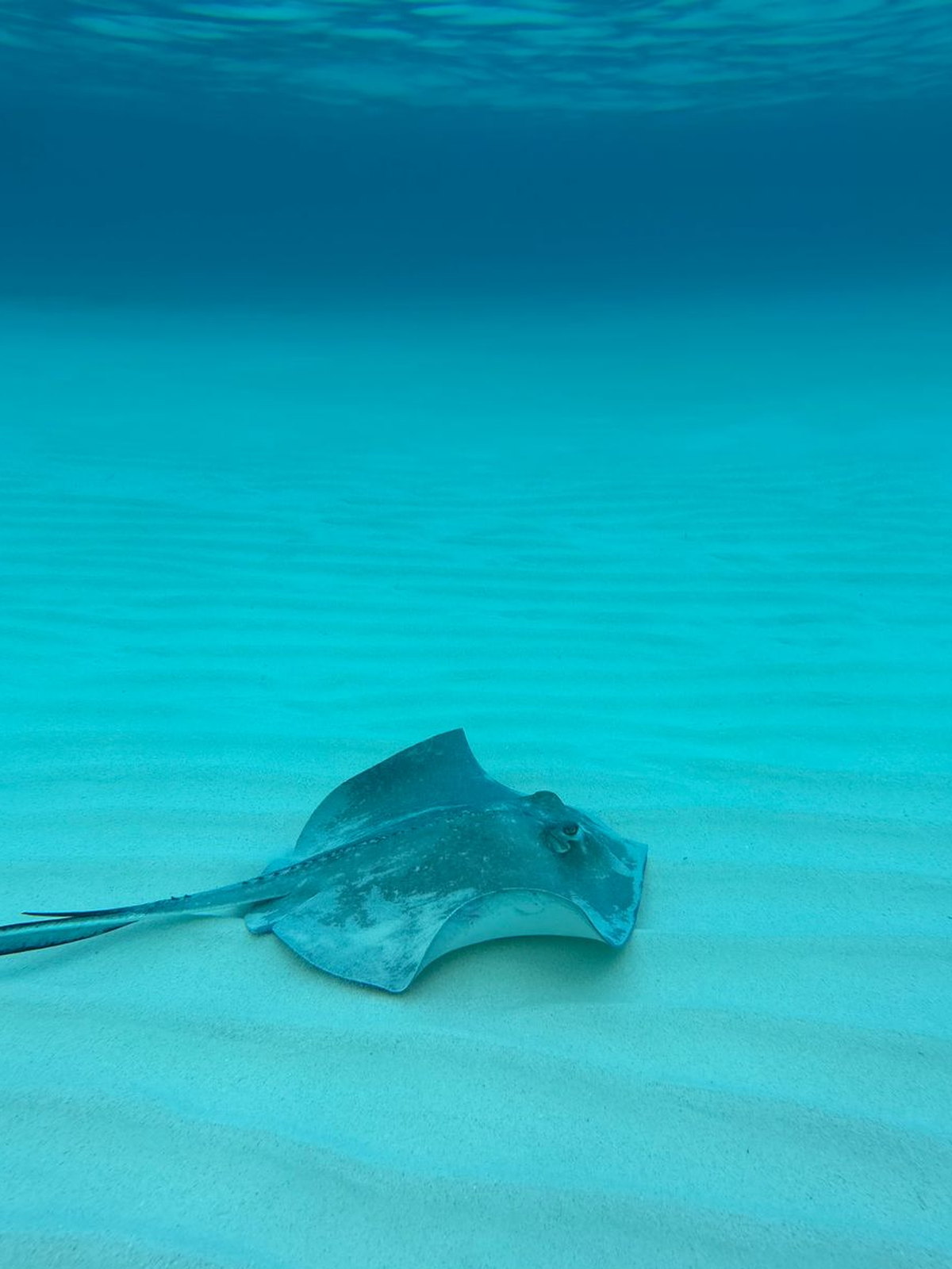 Cayman Islands eSIM - Photo 5