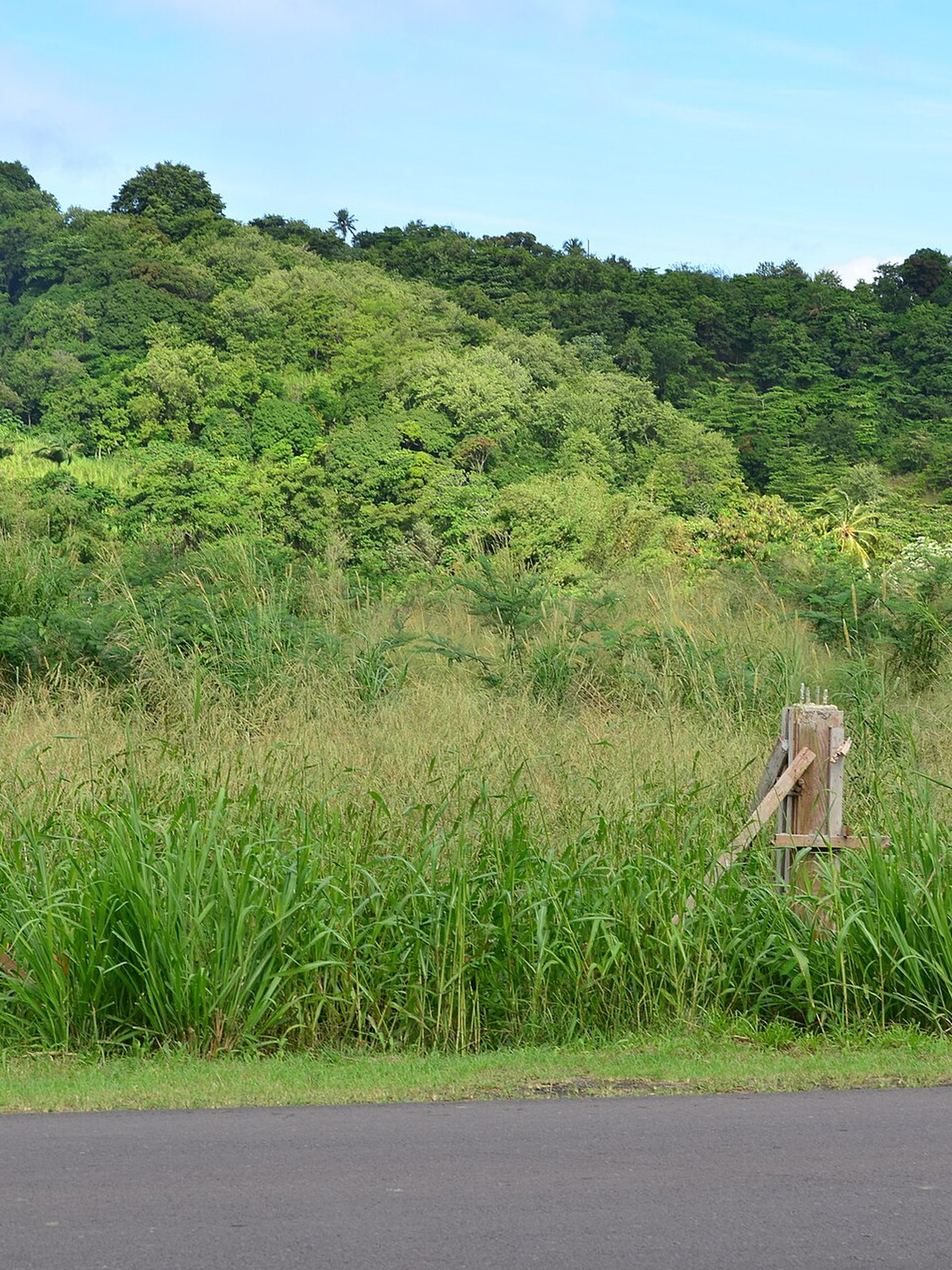 Saint Lucia eSIM - Photo 2