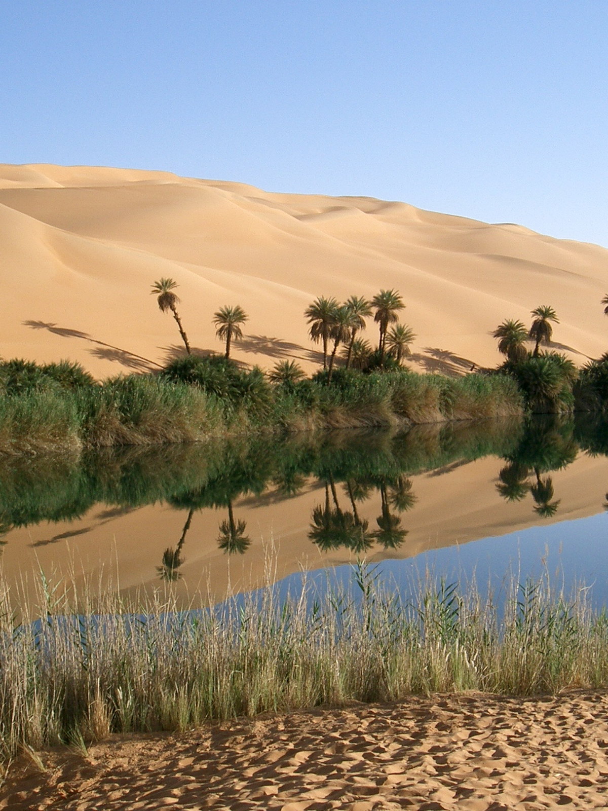Libya eSIM - Photo 4