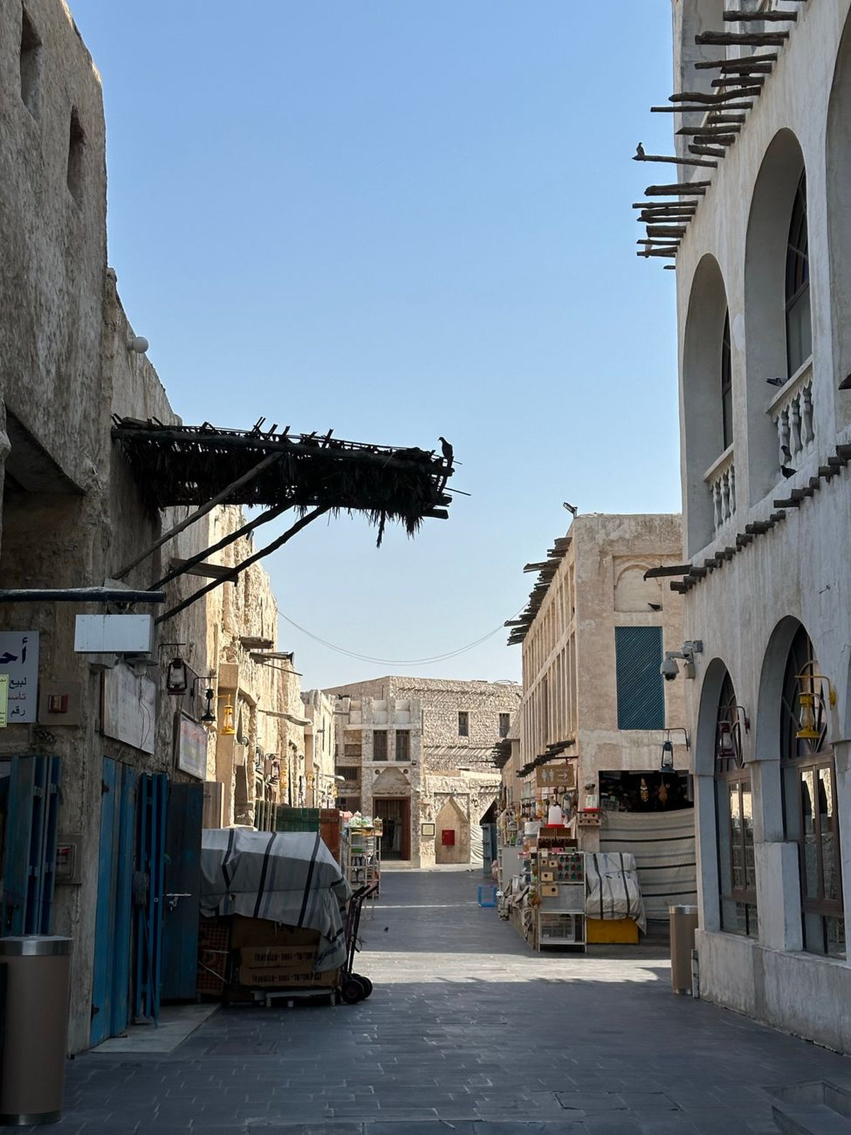 Middle East (13 areas) eSIM - Photo 3