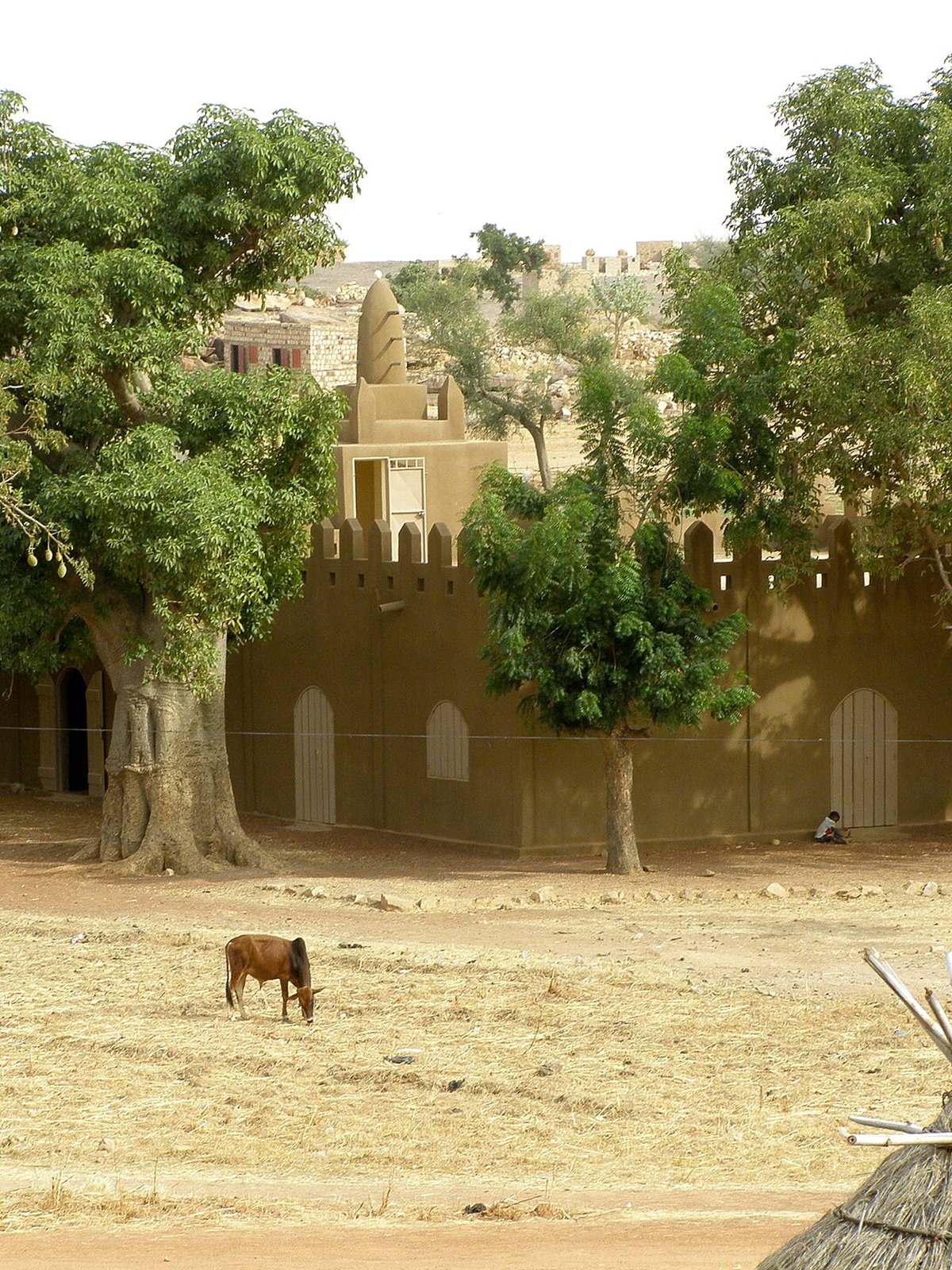 Mali eSIM - Photo 2