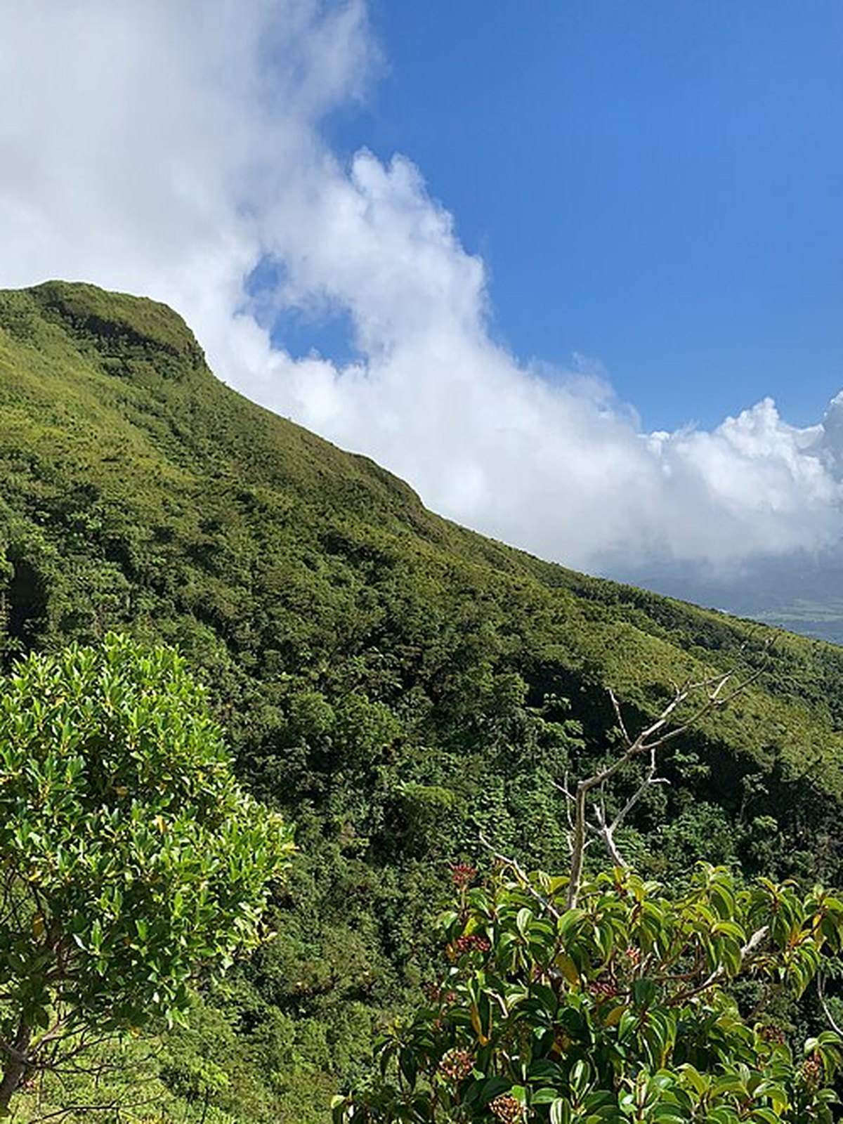 Martinique eSIM - Photo 1