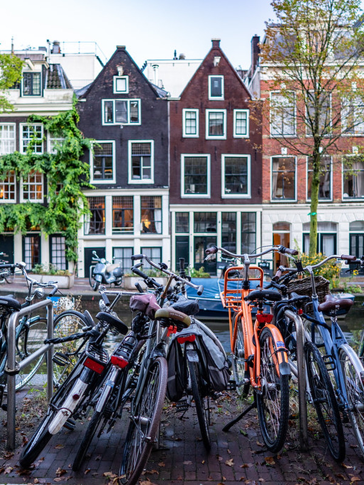 Netherlands eSIM - Photo 2