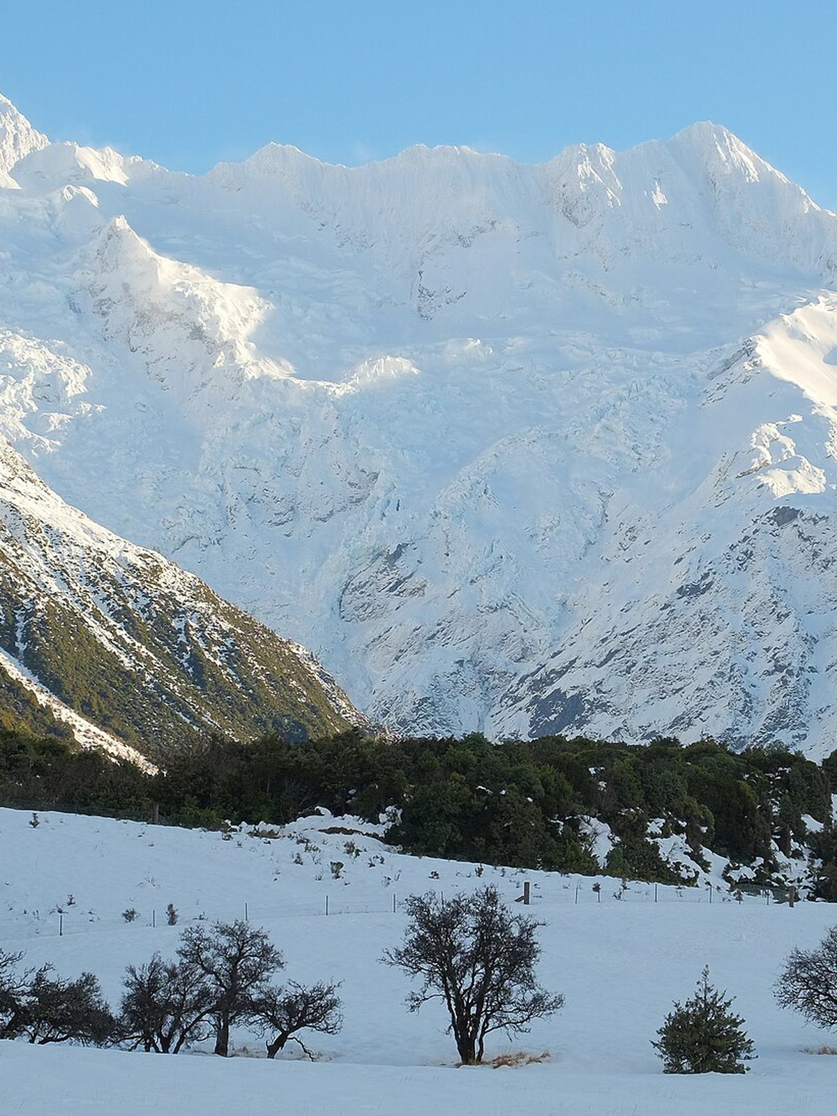 New Zealand eSIM - Photo 2