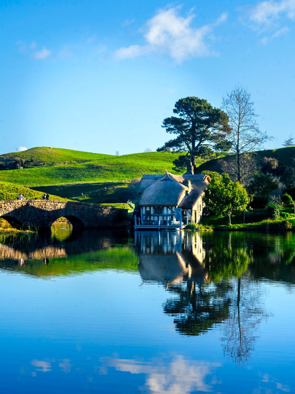 New Zealand eSIM - Photo 3
