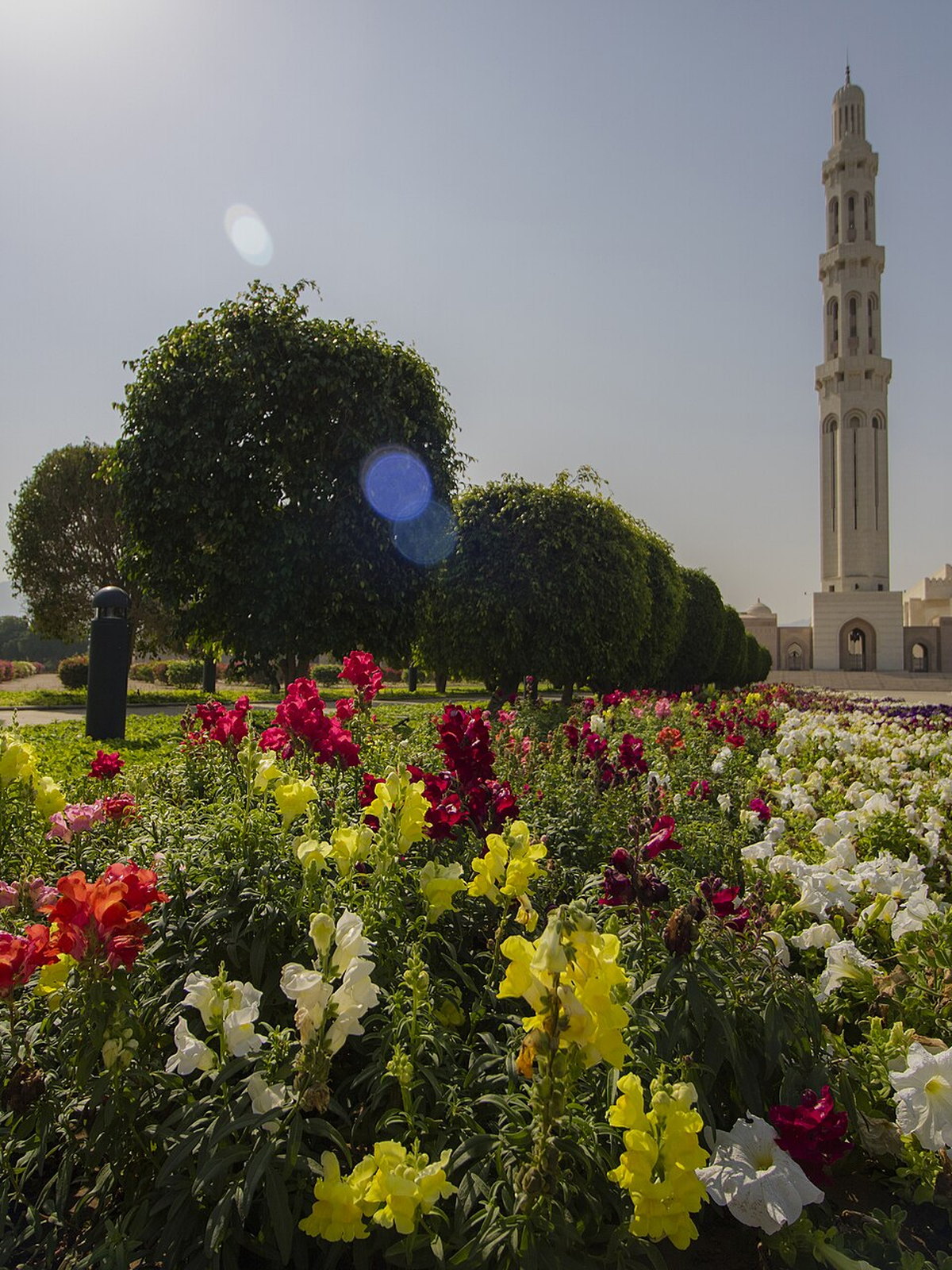 Oman eSIM - Photo 1