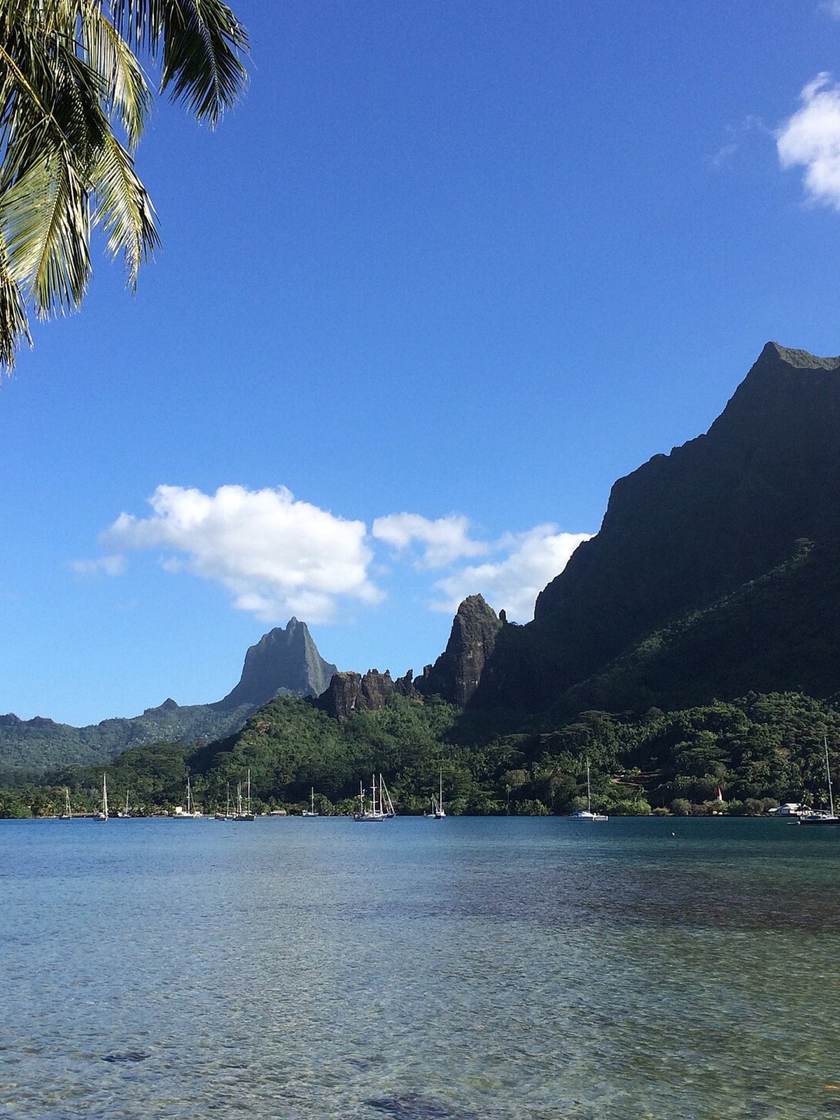 French Polynesia eSIM - Photo 2