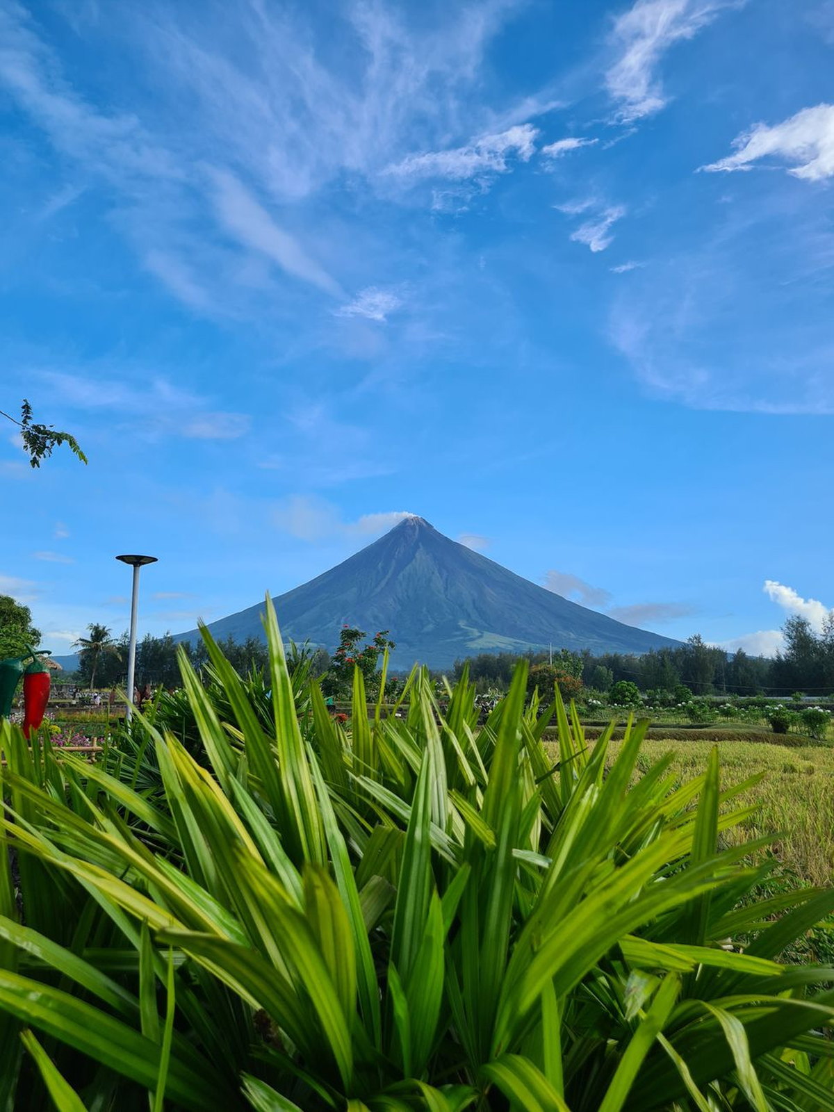 Philippines eSIM - Photo 4