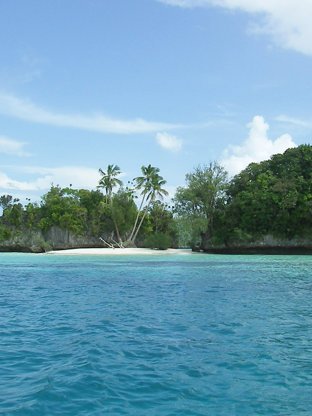 Palau eSIM - Photo 1