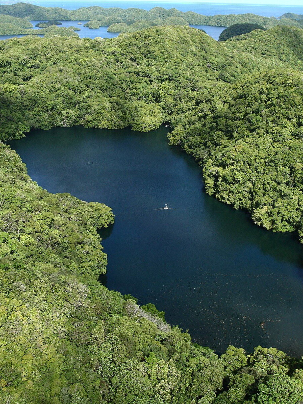 Palau eSIM - Photo 2