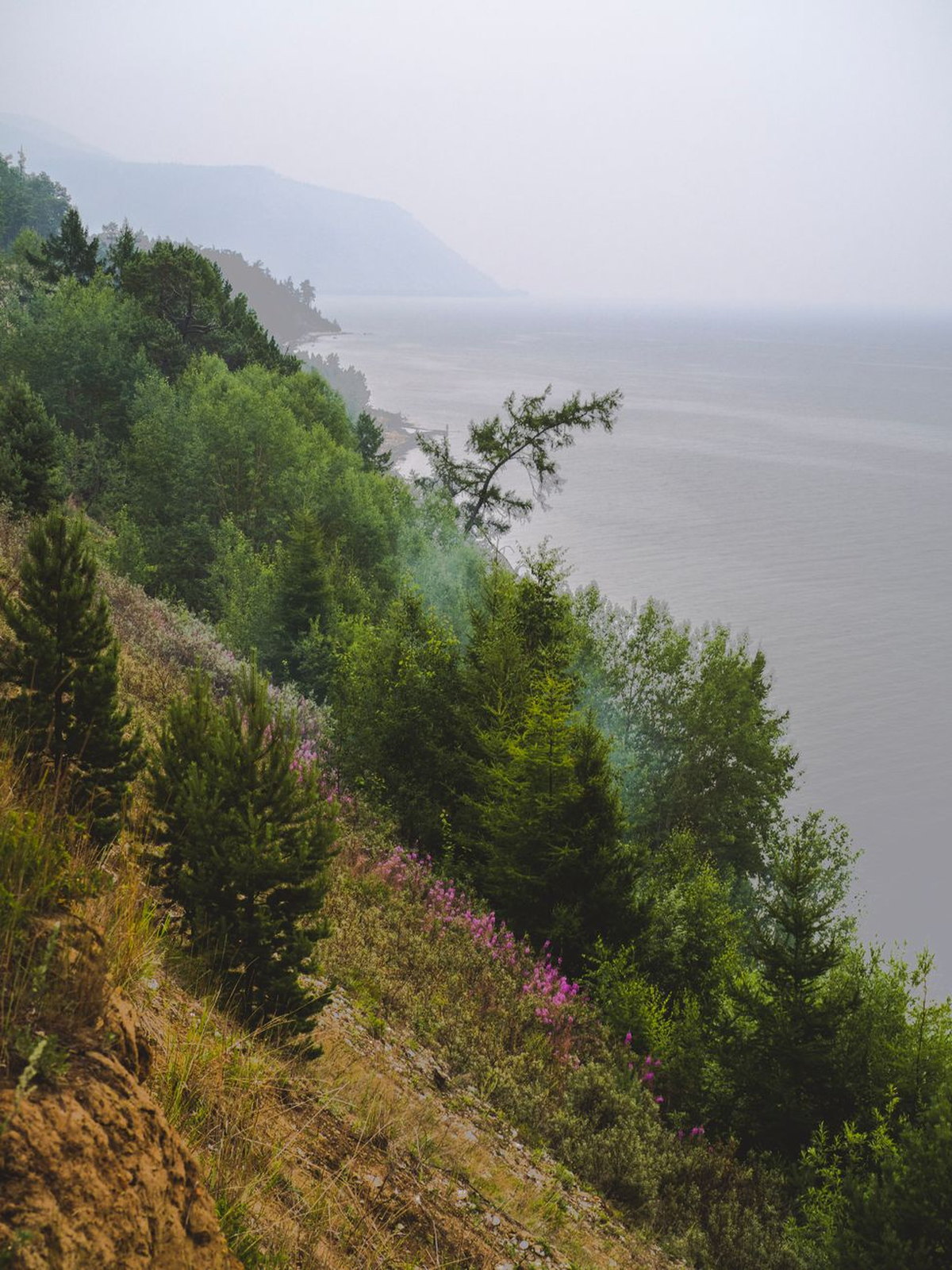 Russia eSIM - Photo 3