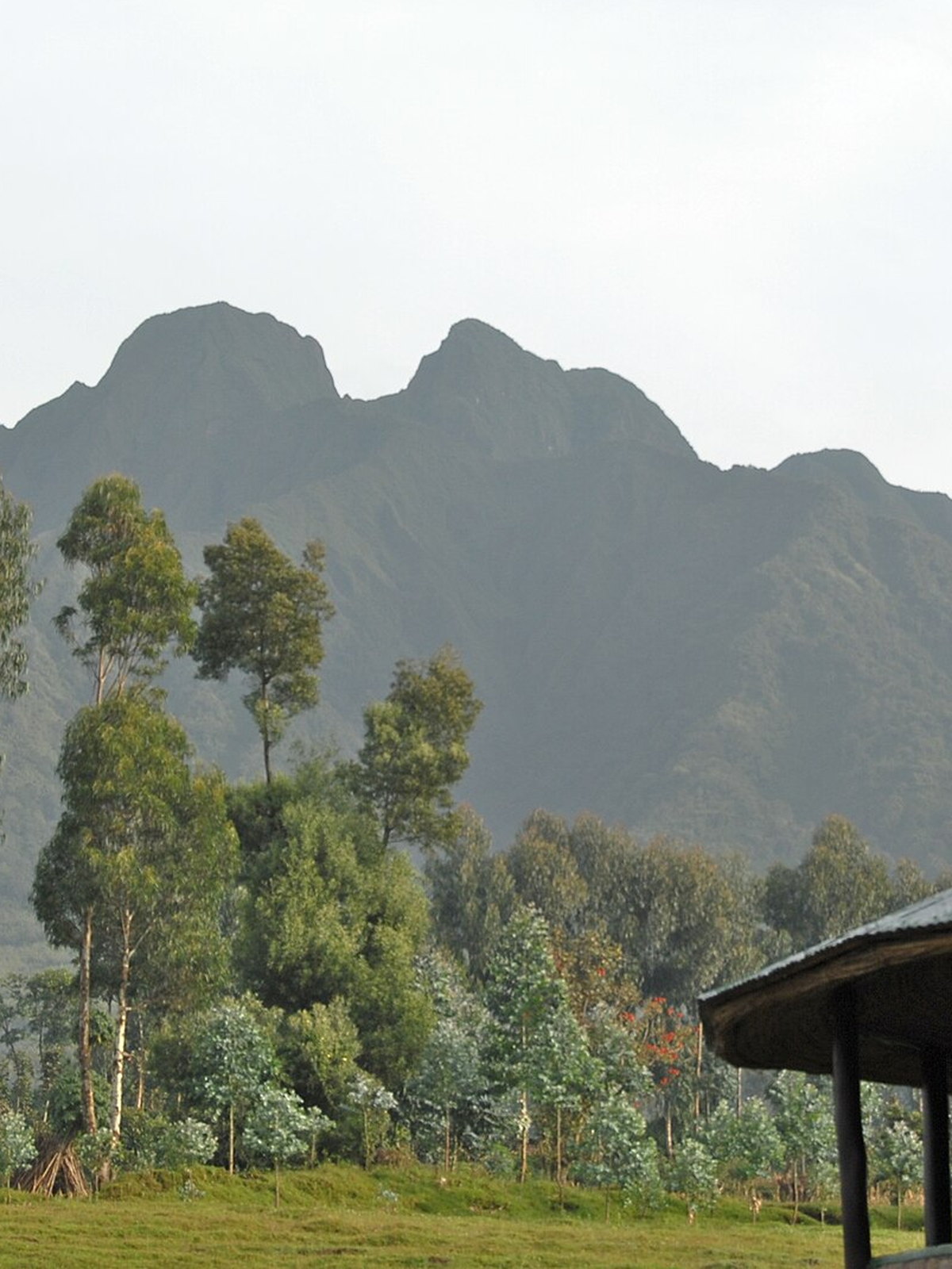 Rwanda eSIM - Photo 1