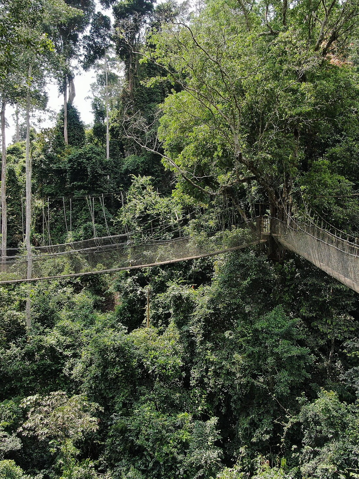 Rwanda eSIM - Photo 4