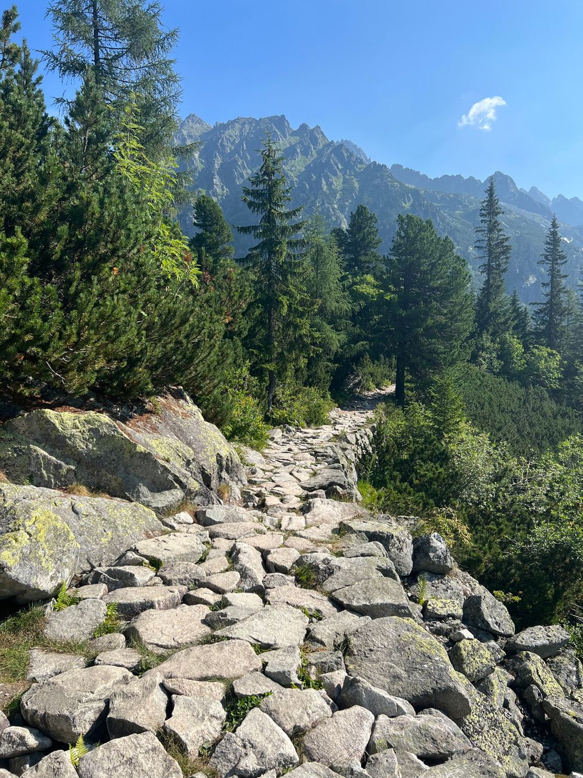 Slovakia eSIM - Photo 3