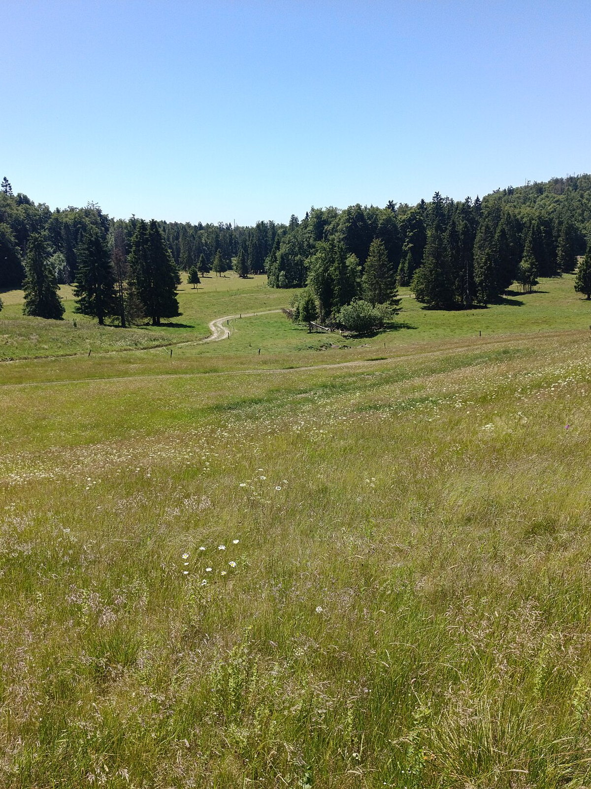Slovakia eSIM - Photo 5