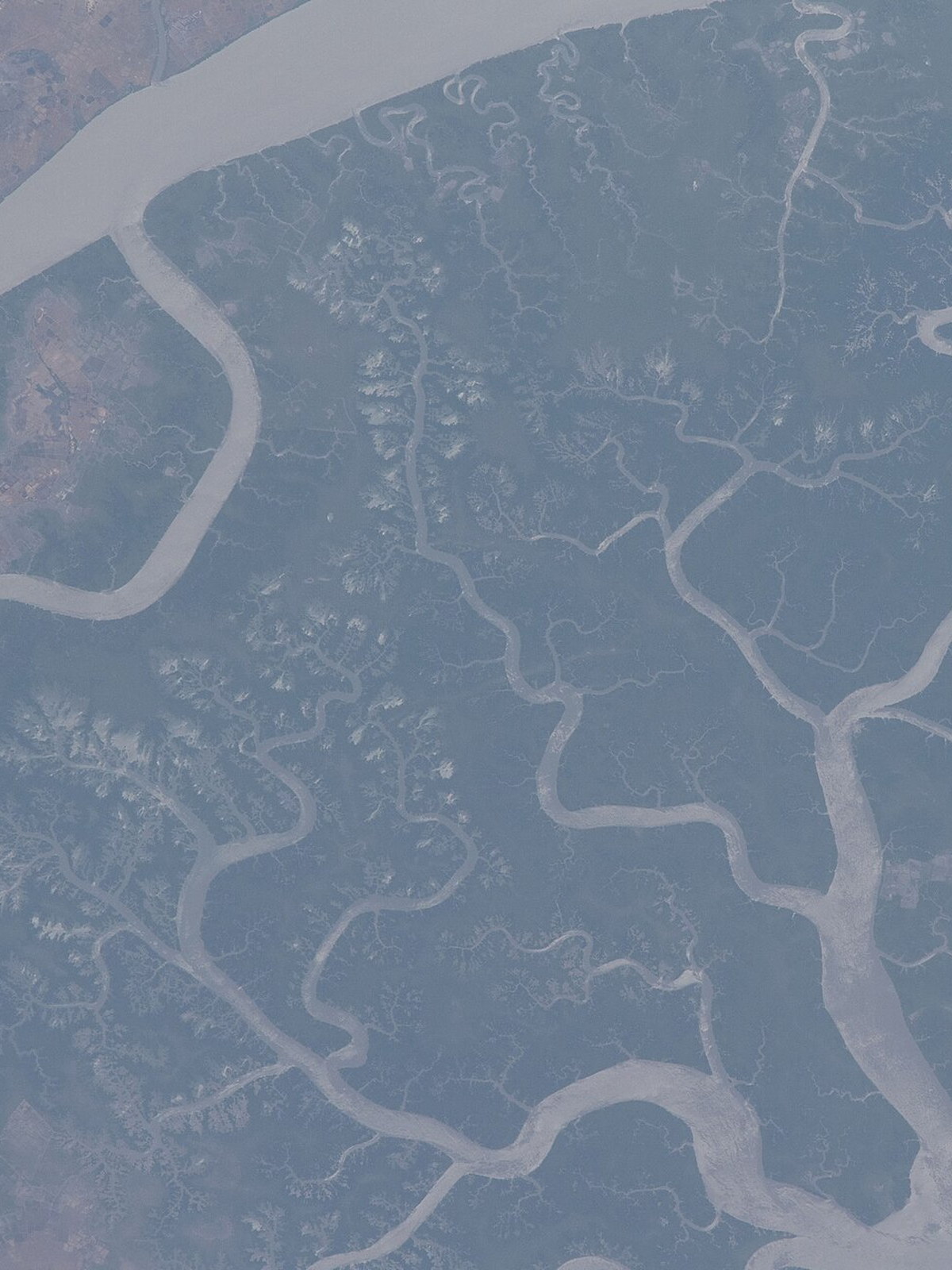 Sierra Leone eSIM - Photo 2