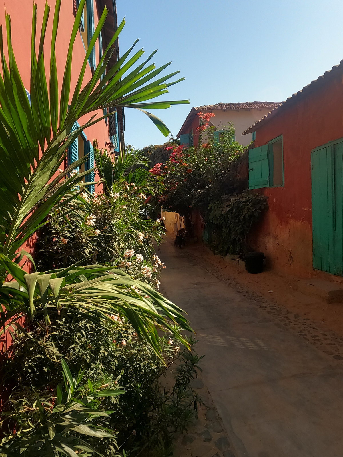 Senegal eSIM - Photo 2