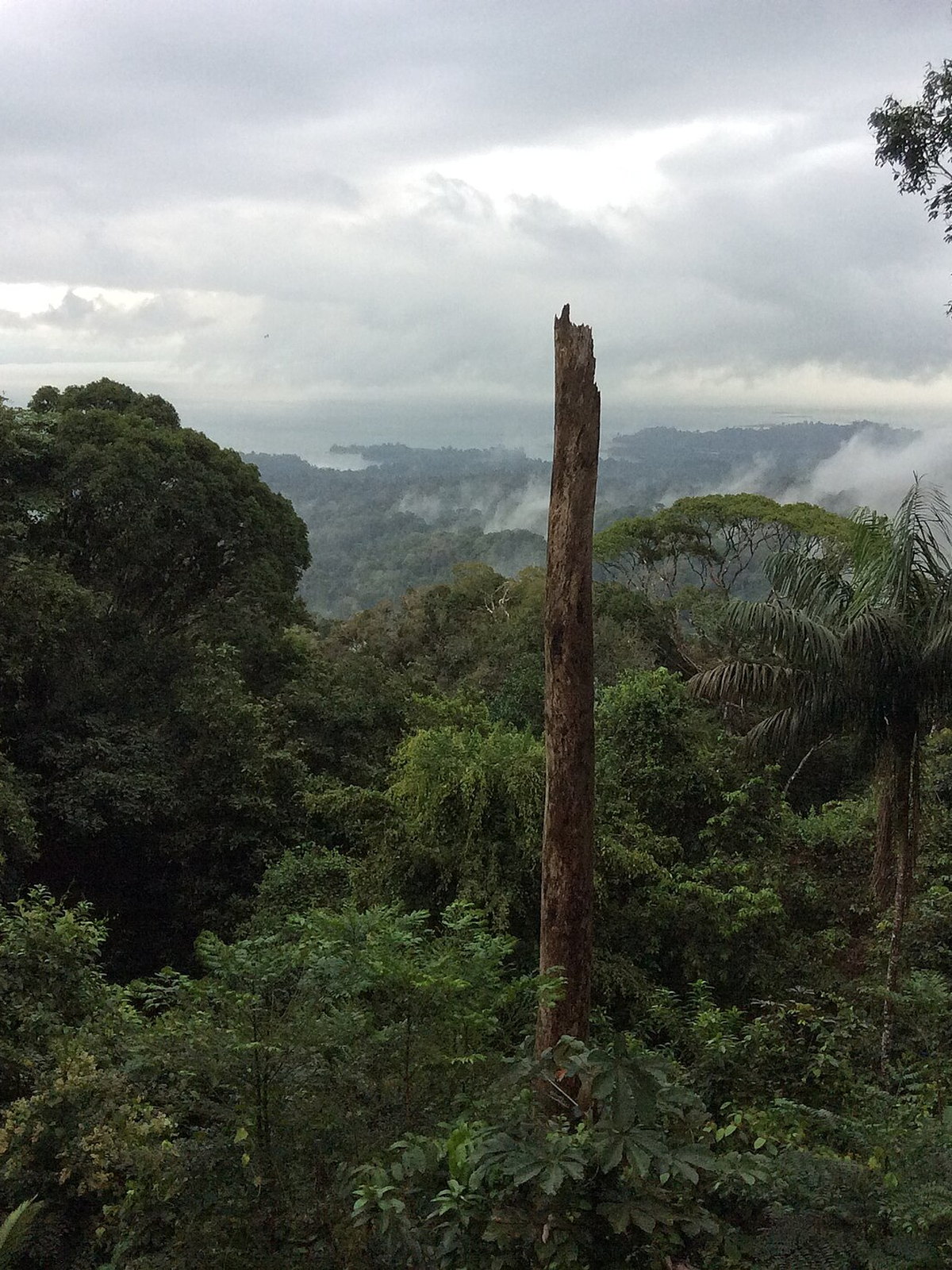 Suriname eSIM - Photo 1