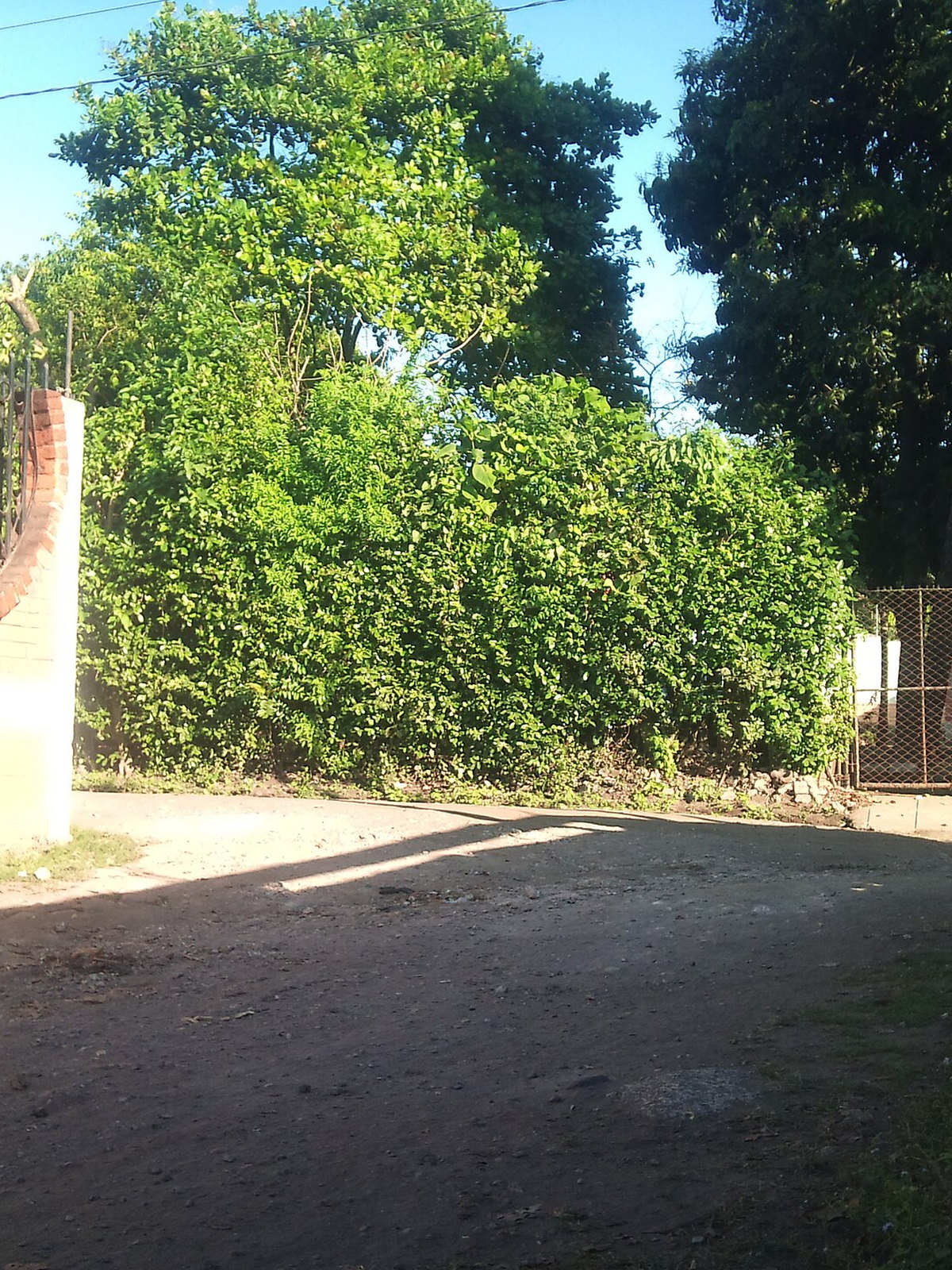 El Salvador eSIM - Photo 2