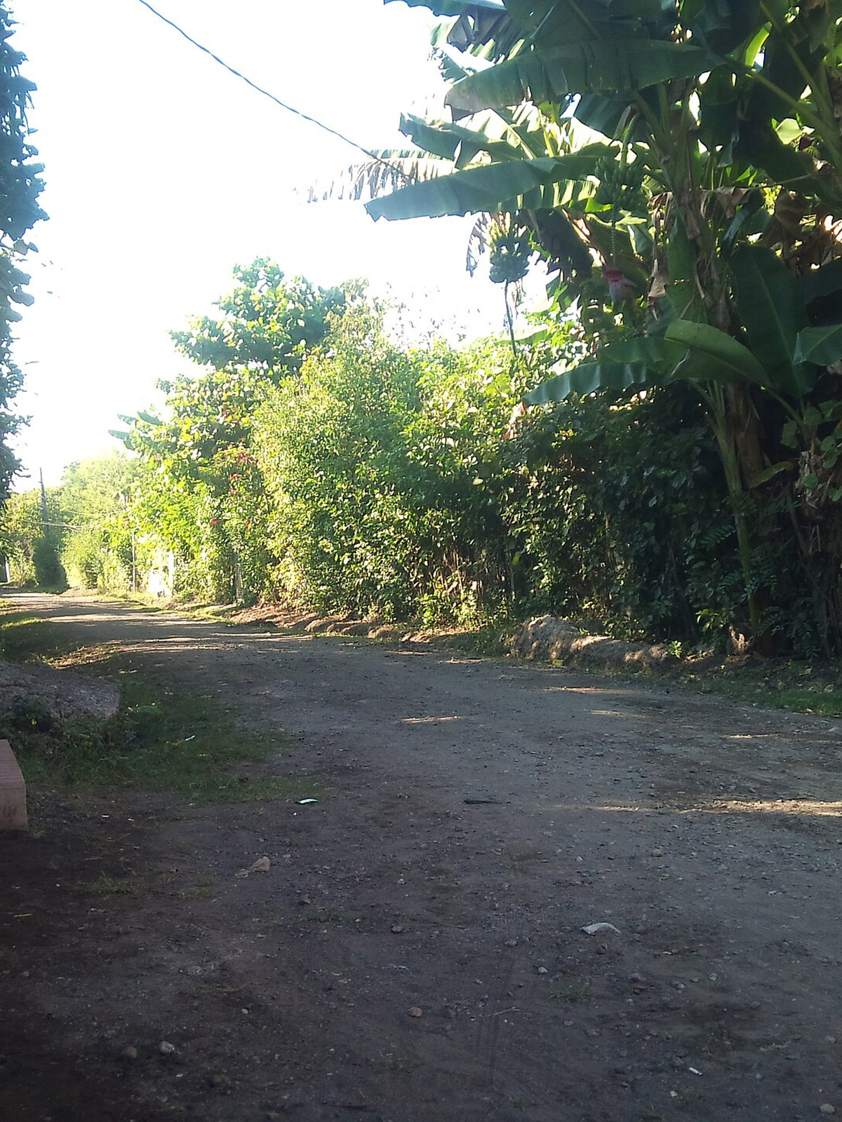 El Salvador eSIM - Photo 4