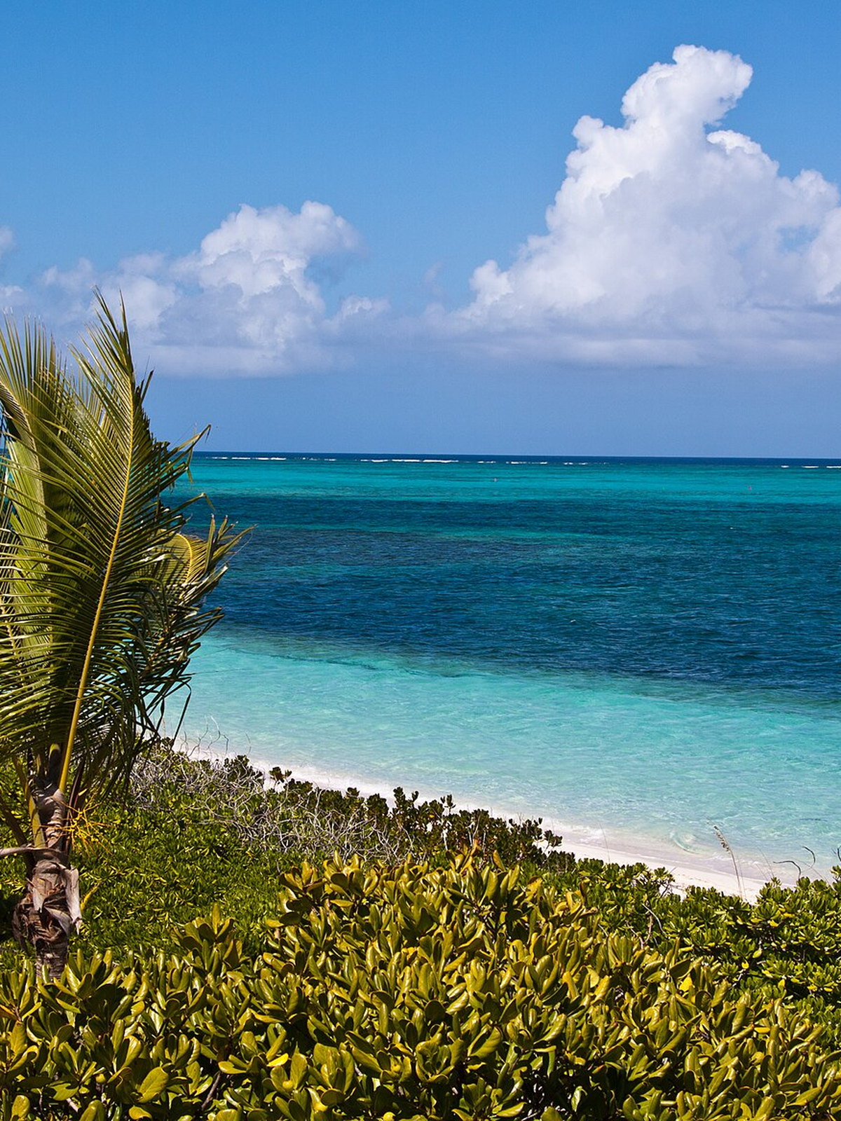 Turks and Caicos Islands eSIM - Photo 5