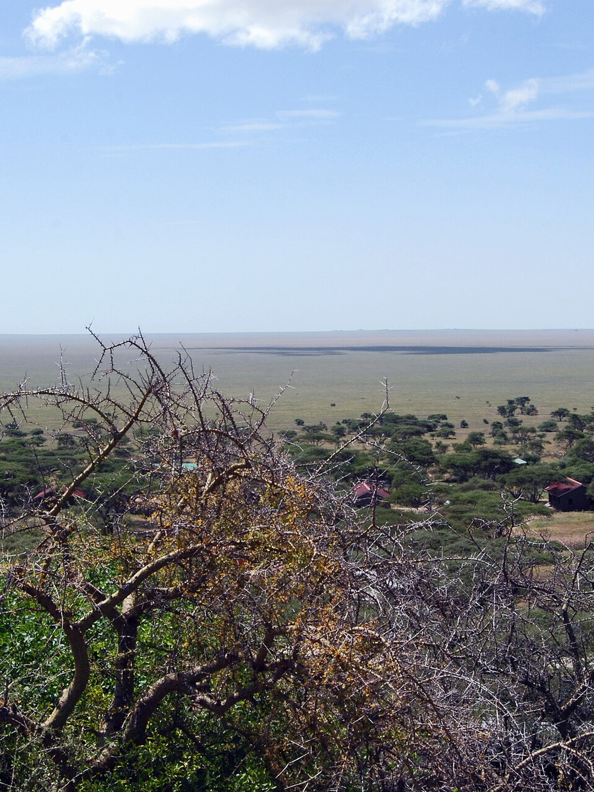 Tanzania eSIM - Photo 2
